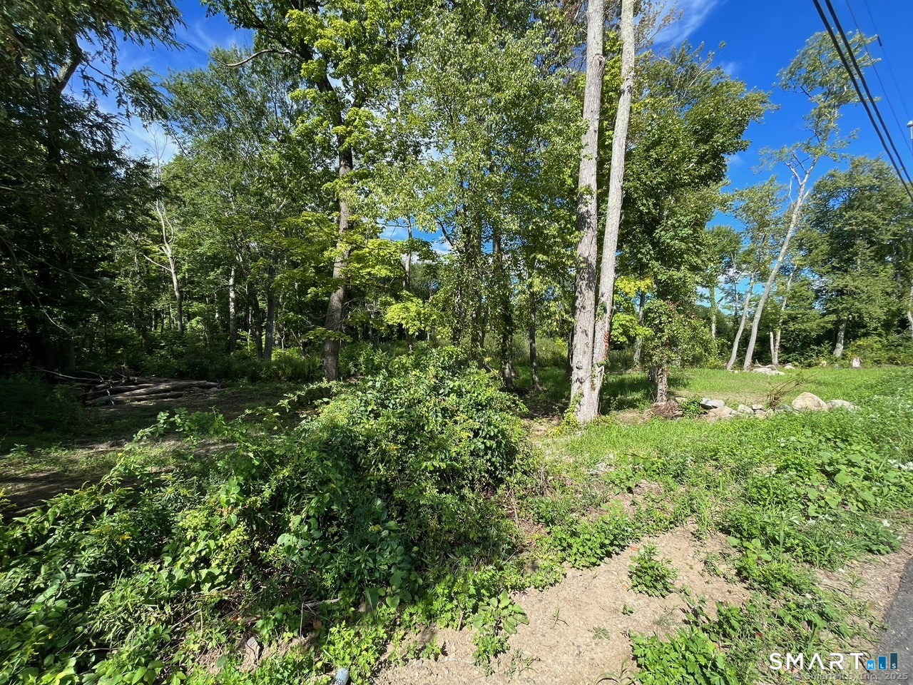 26 100 Acres Road Property Photo 7