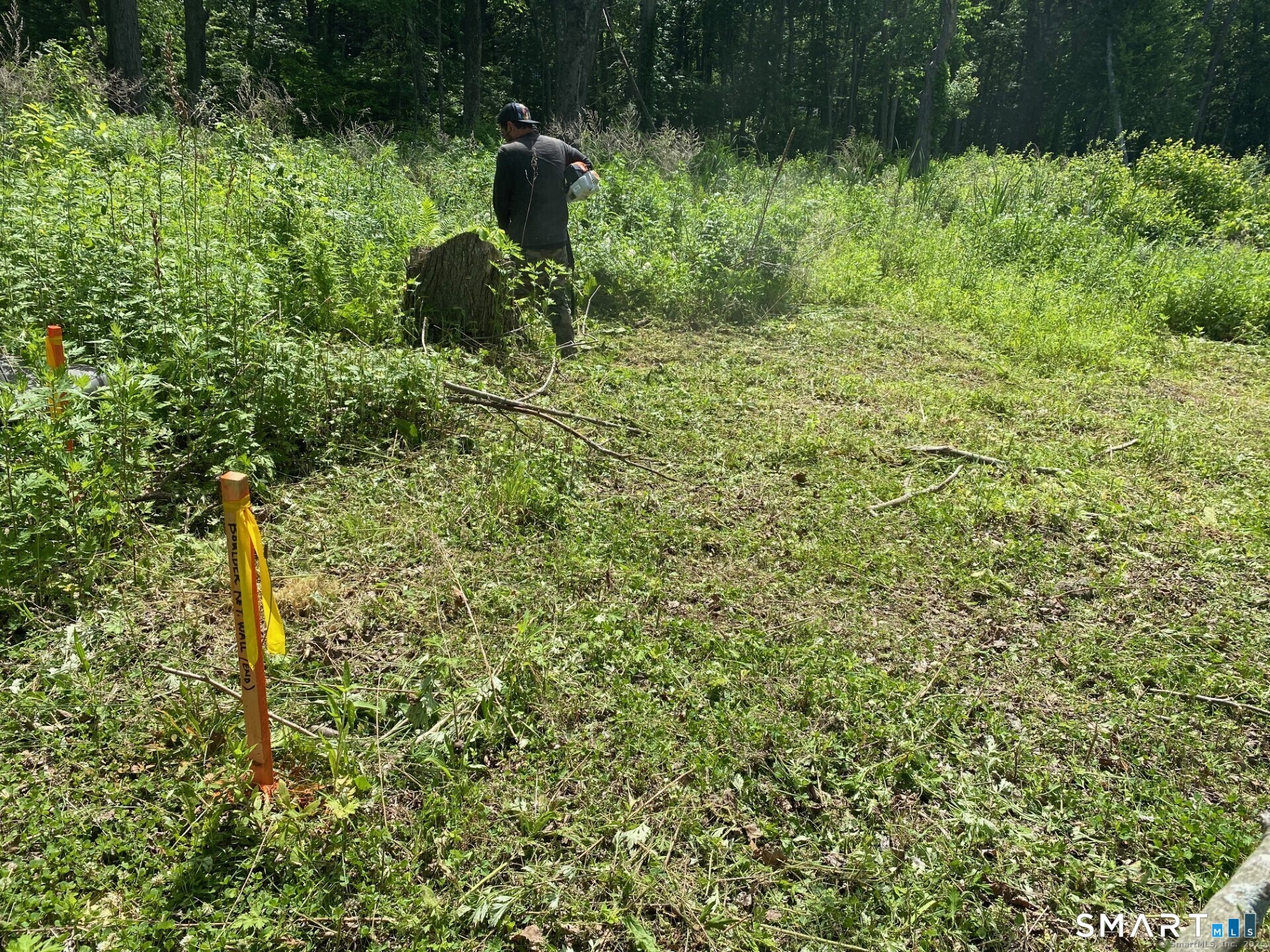 26 100 Acres Road Property Photo 8
