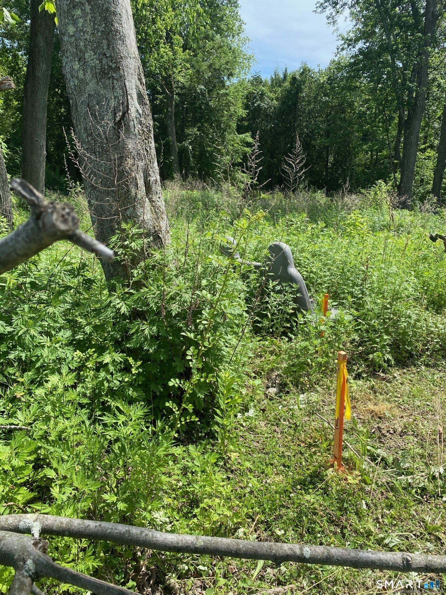 26 100 Acres Road Property Photo 9