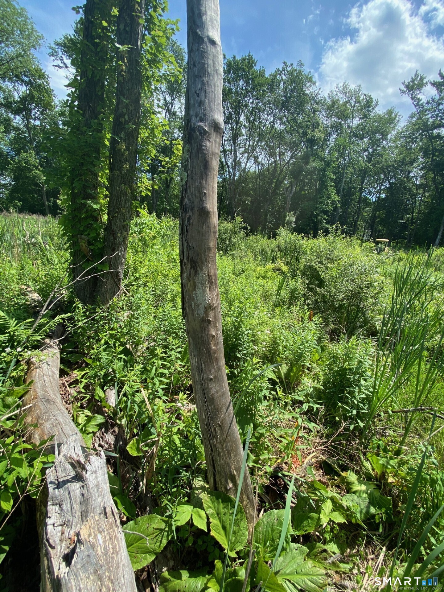 26 100 Acres Road Property Photo 10
