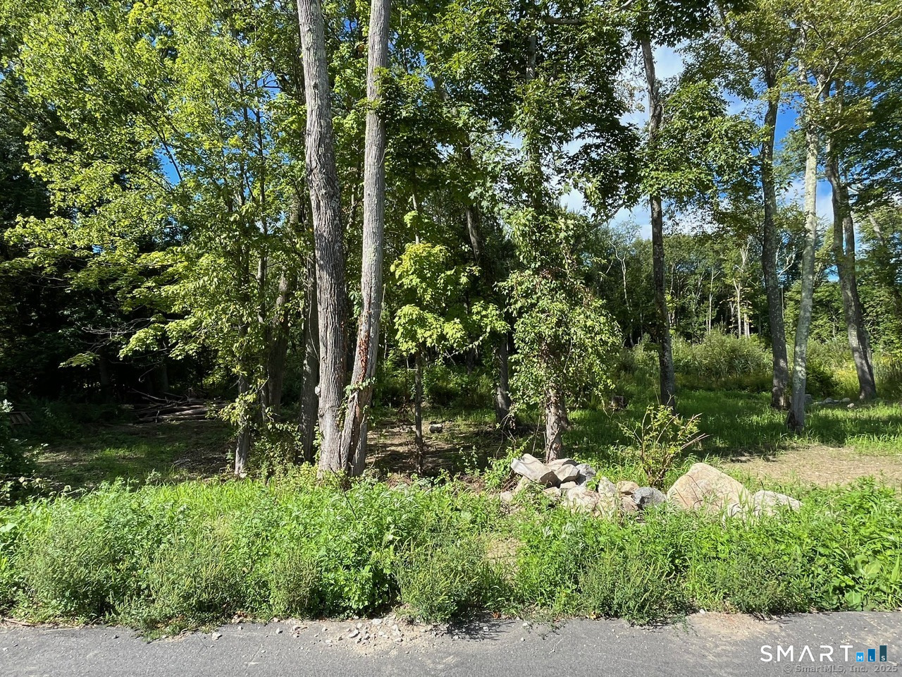 26 100 Acres Road Property Photo 12