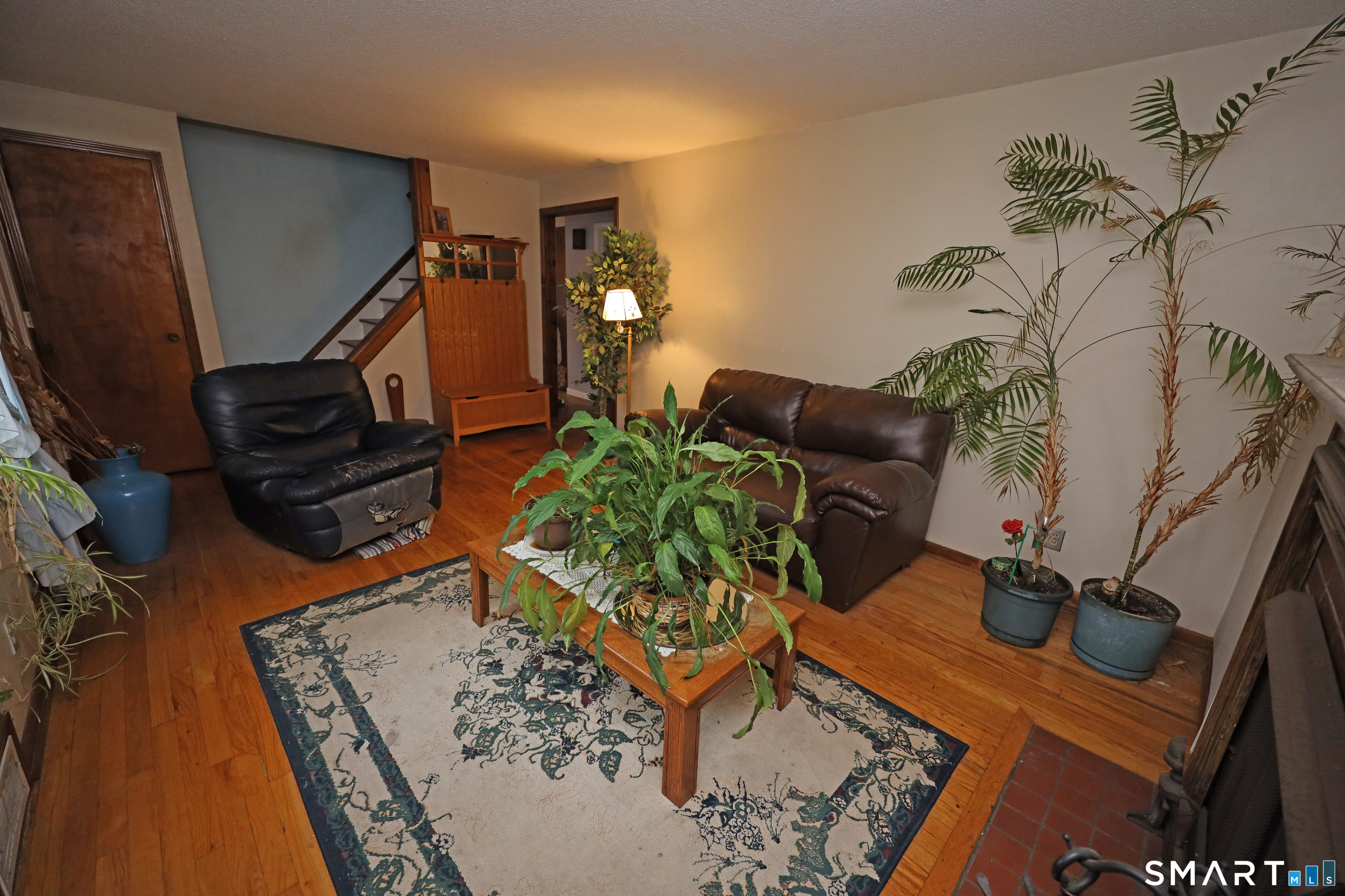 224 Abbotsford Avenue Property Photo 8
