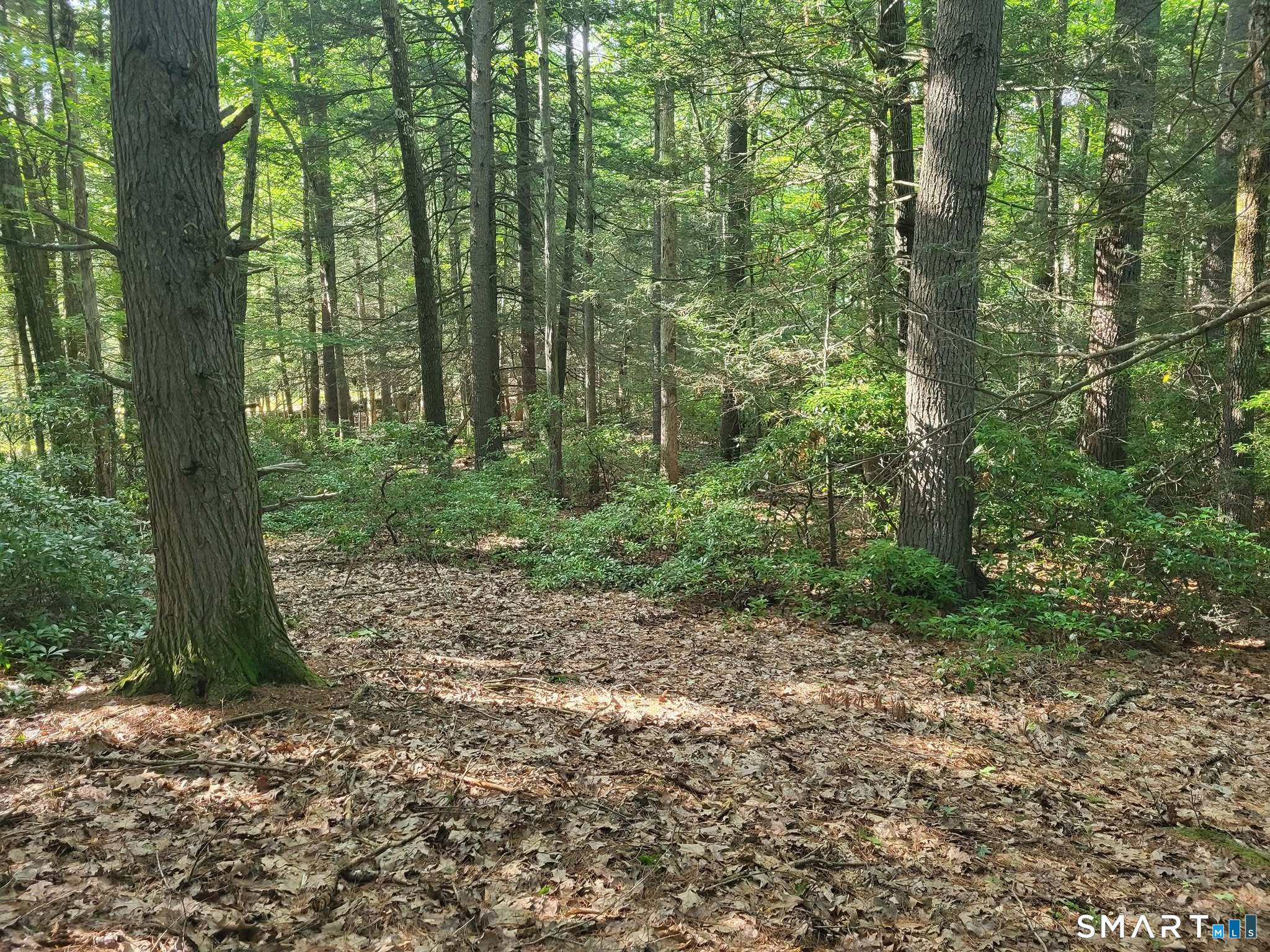 8-2 Tayler Trail Property Photo 4
