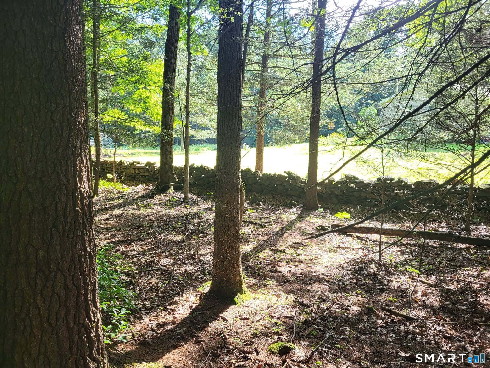 8-2 Tayler Trail Property Photo 5