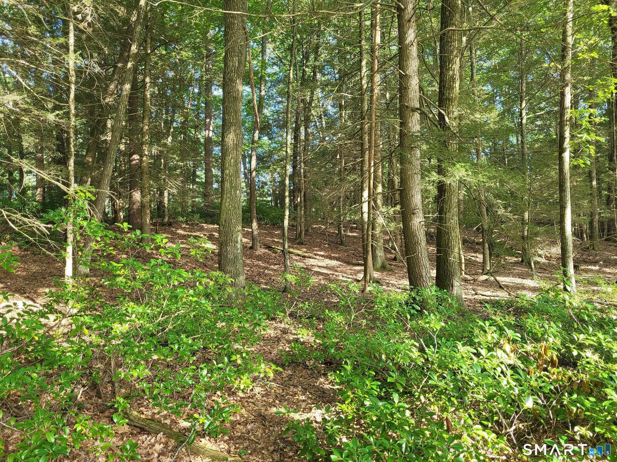 8-2 Tayler Trail Property Photo 6