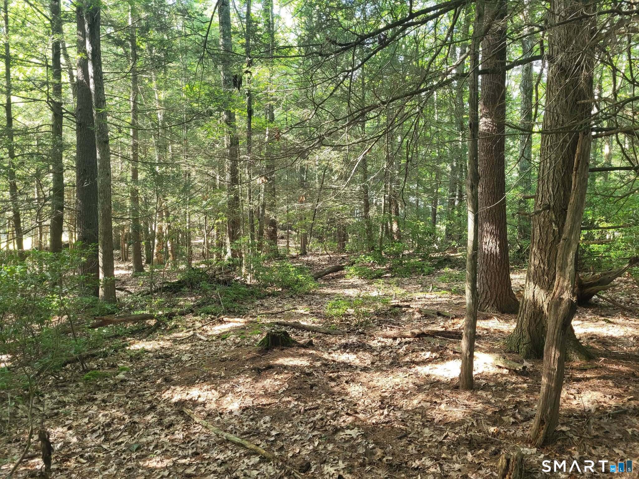 8-2 Tayler Trail Property Photo 7