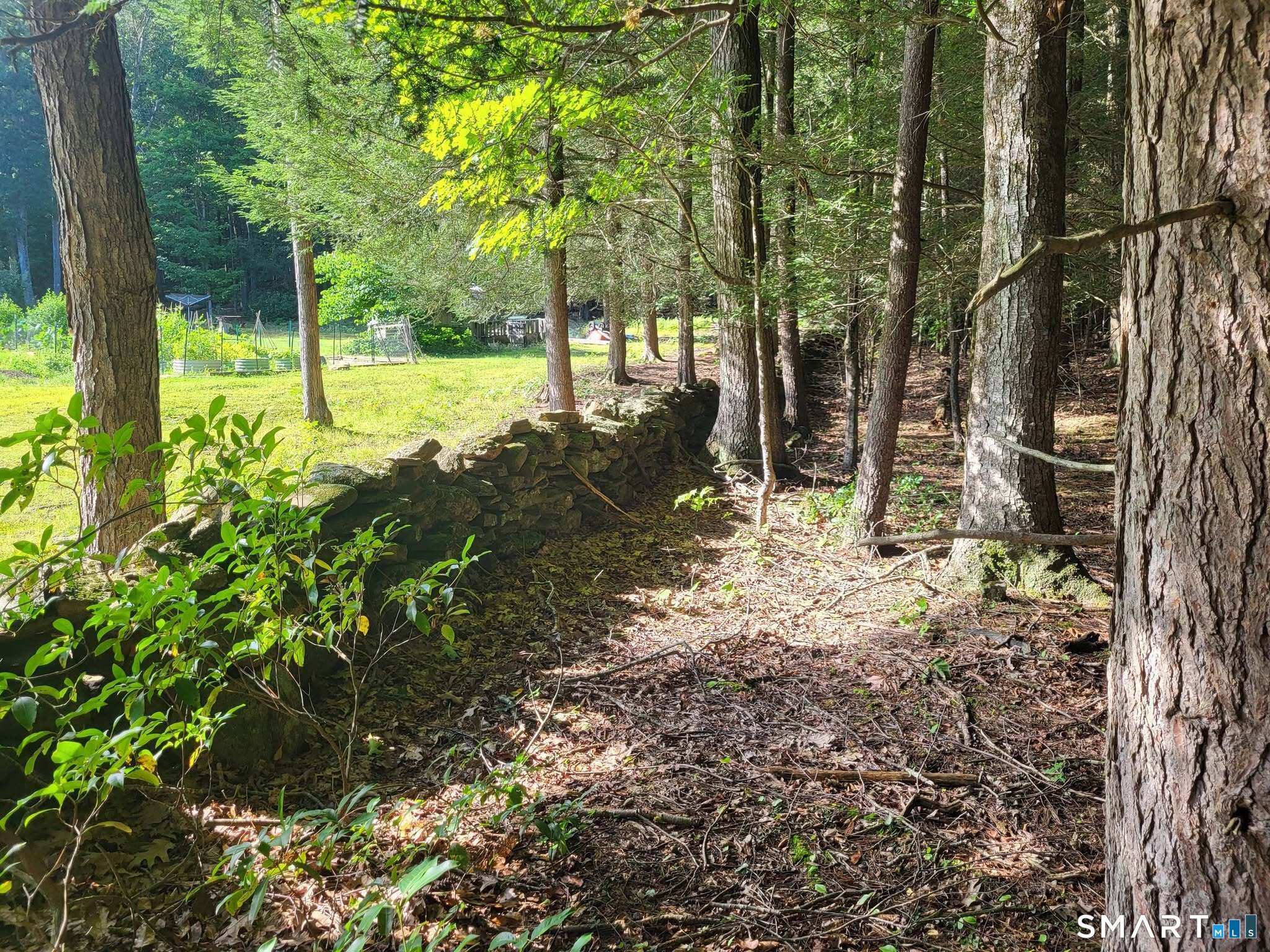 8-2 Tayler Trail Property Photo 8