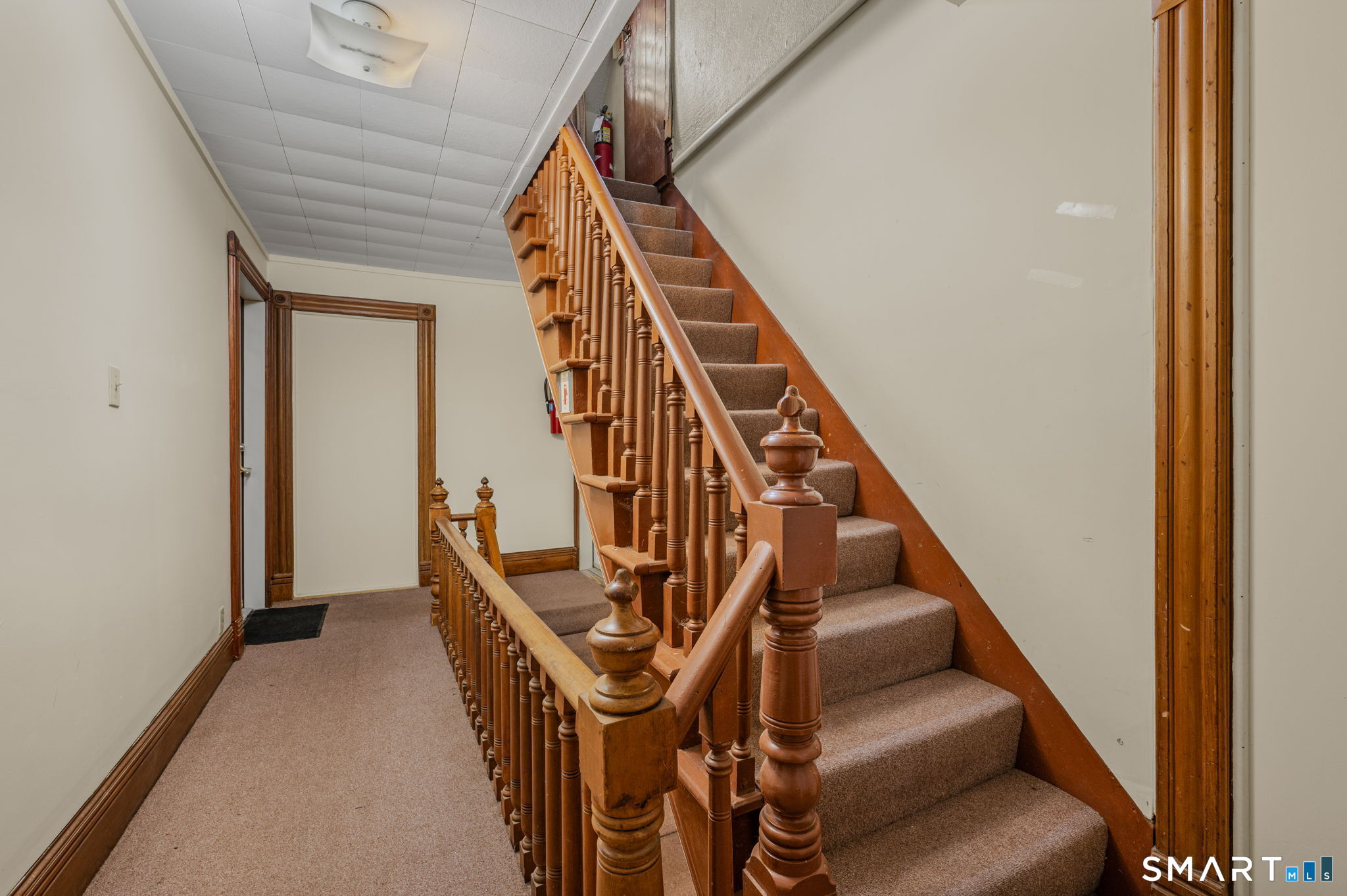 23 Plains Road Property Photo 29