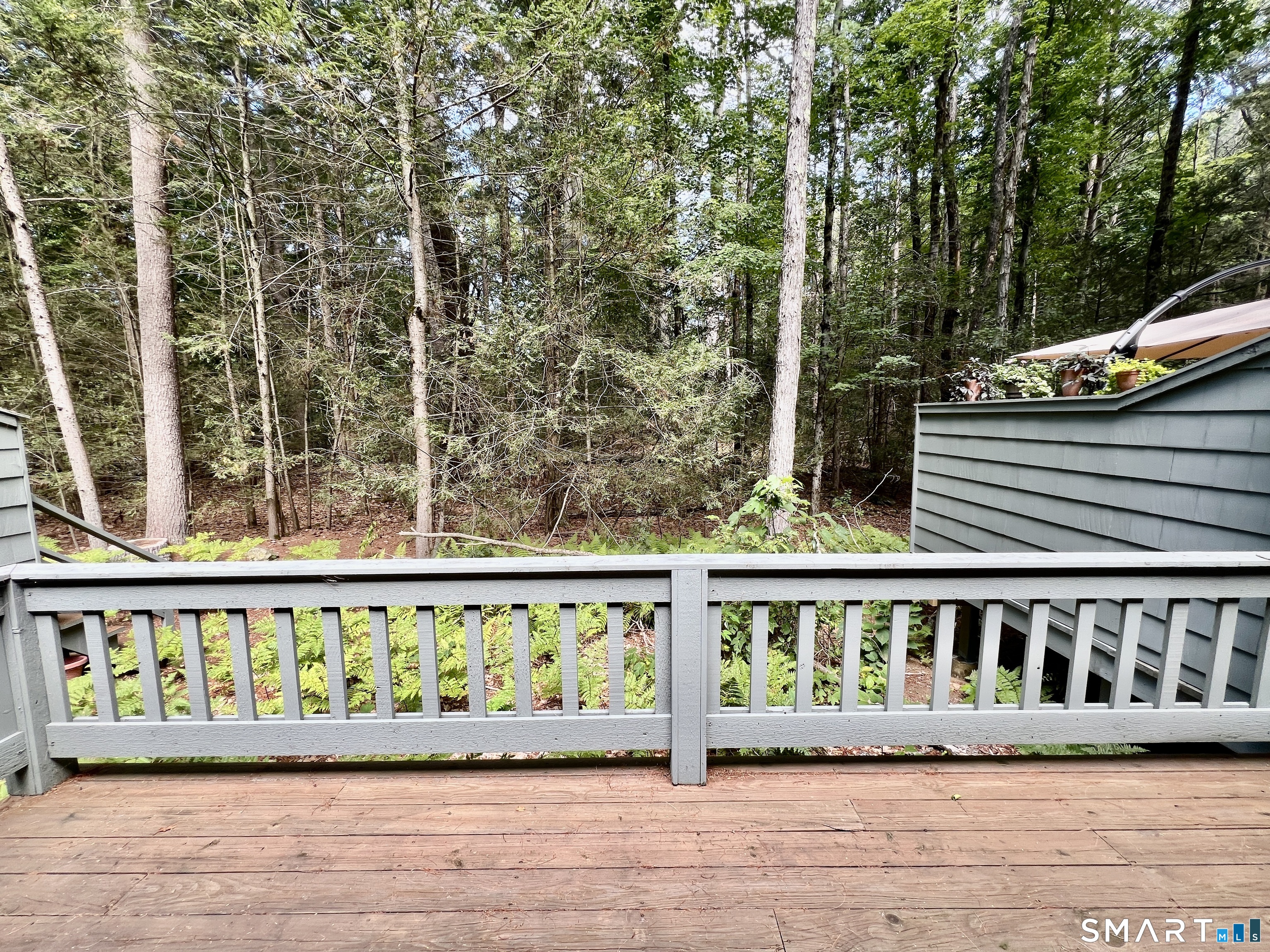 480 Evergreen Road Property Photo 22