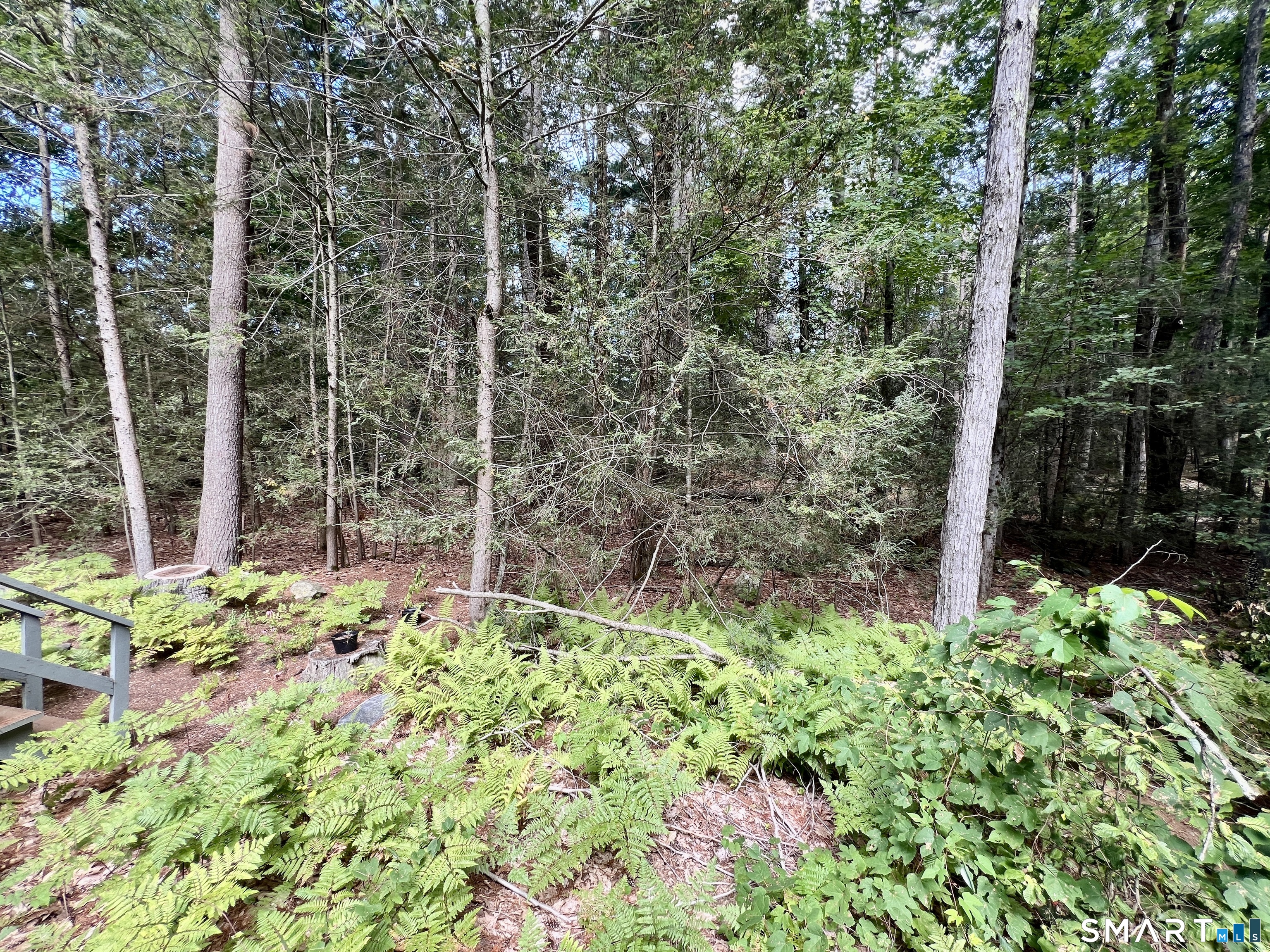 480 Evergreen Road Property Photo 23