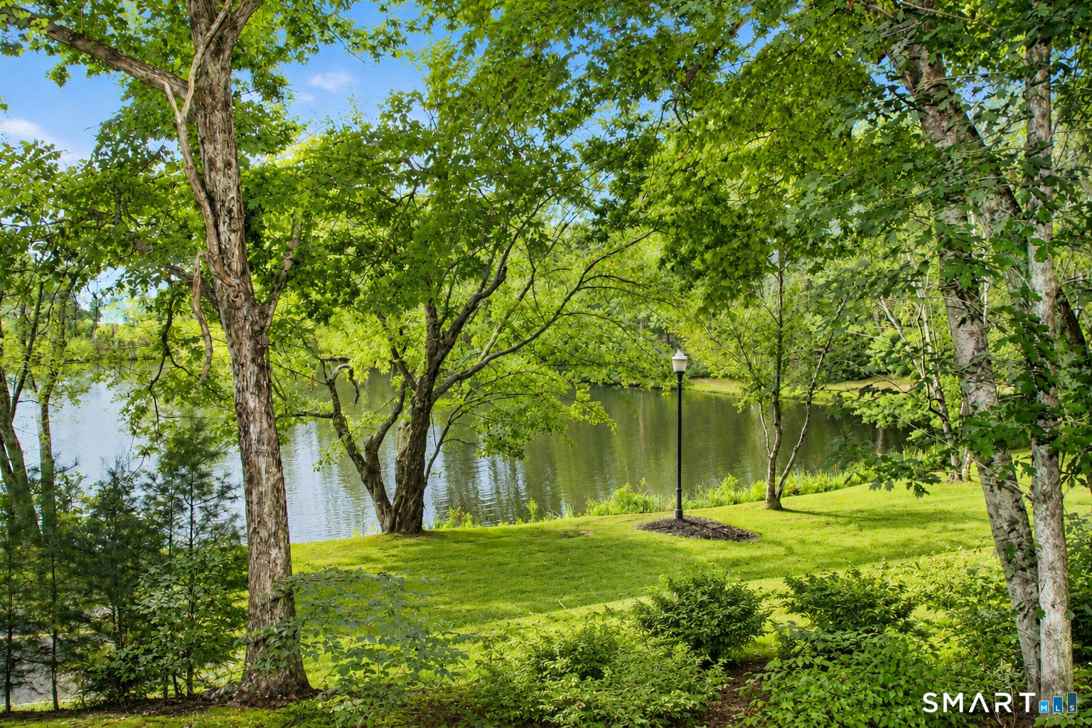 201 Transylvania Road Property Photo 6