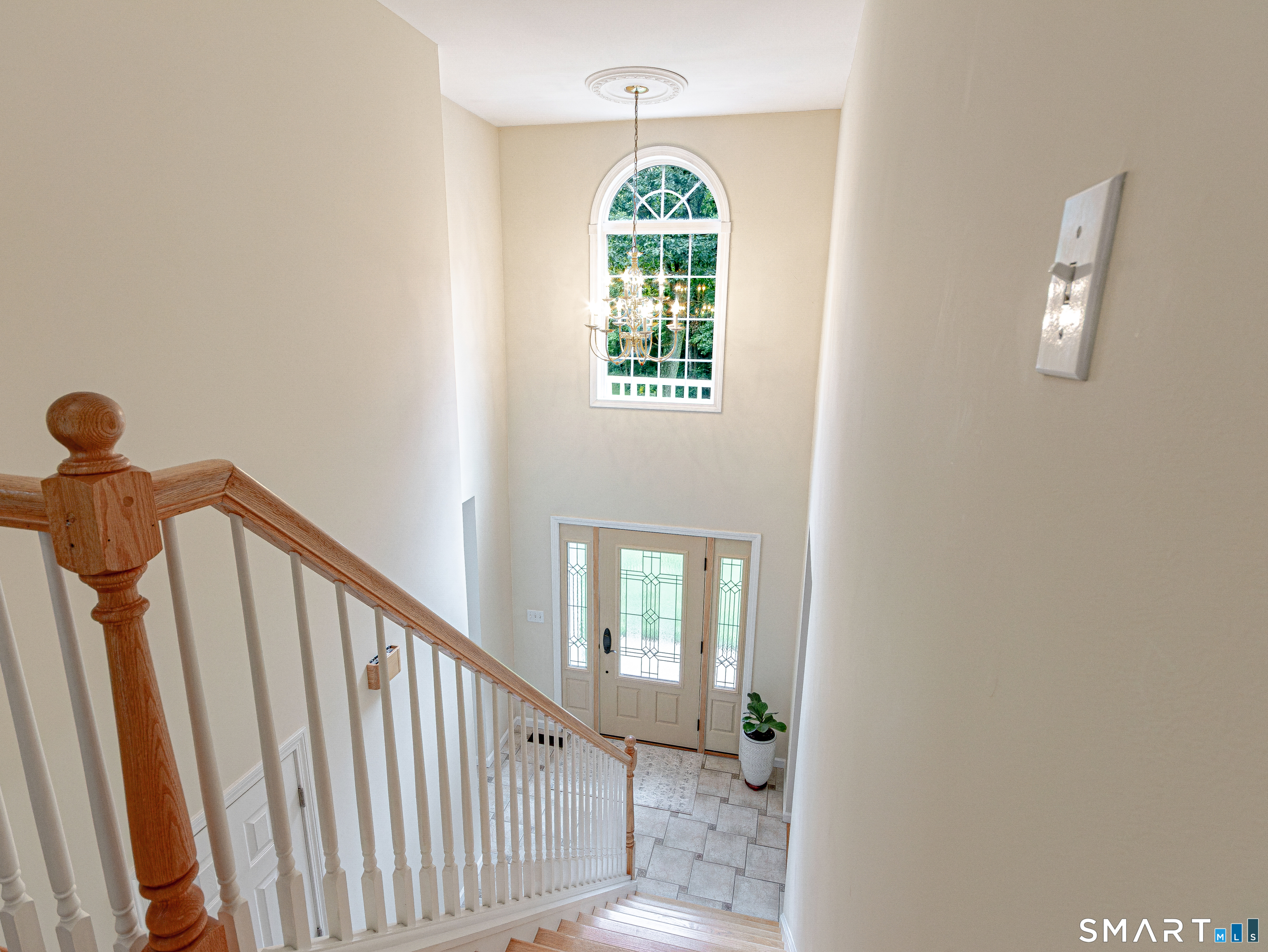 4 Ivy Terrace Property Photo 21