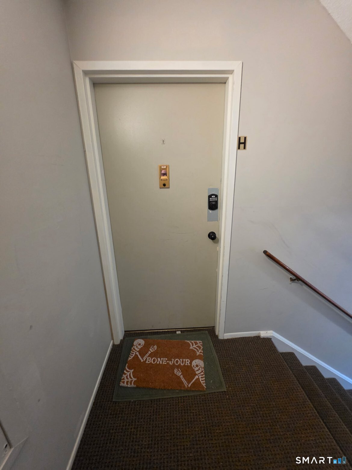 11 Darling H Street Property Photo 18