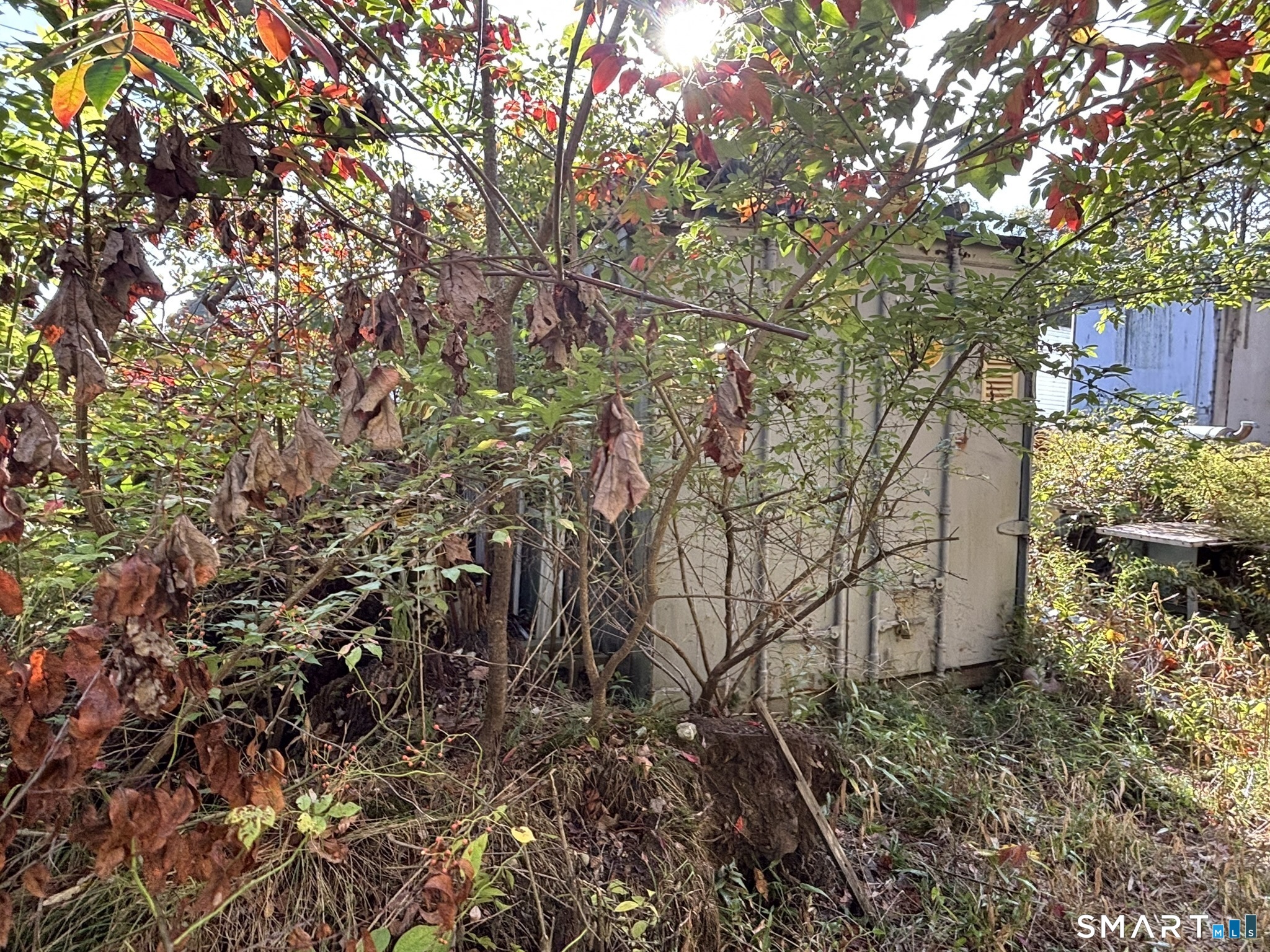 1405 New Haven Road Property Photo 4
