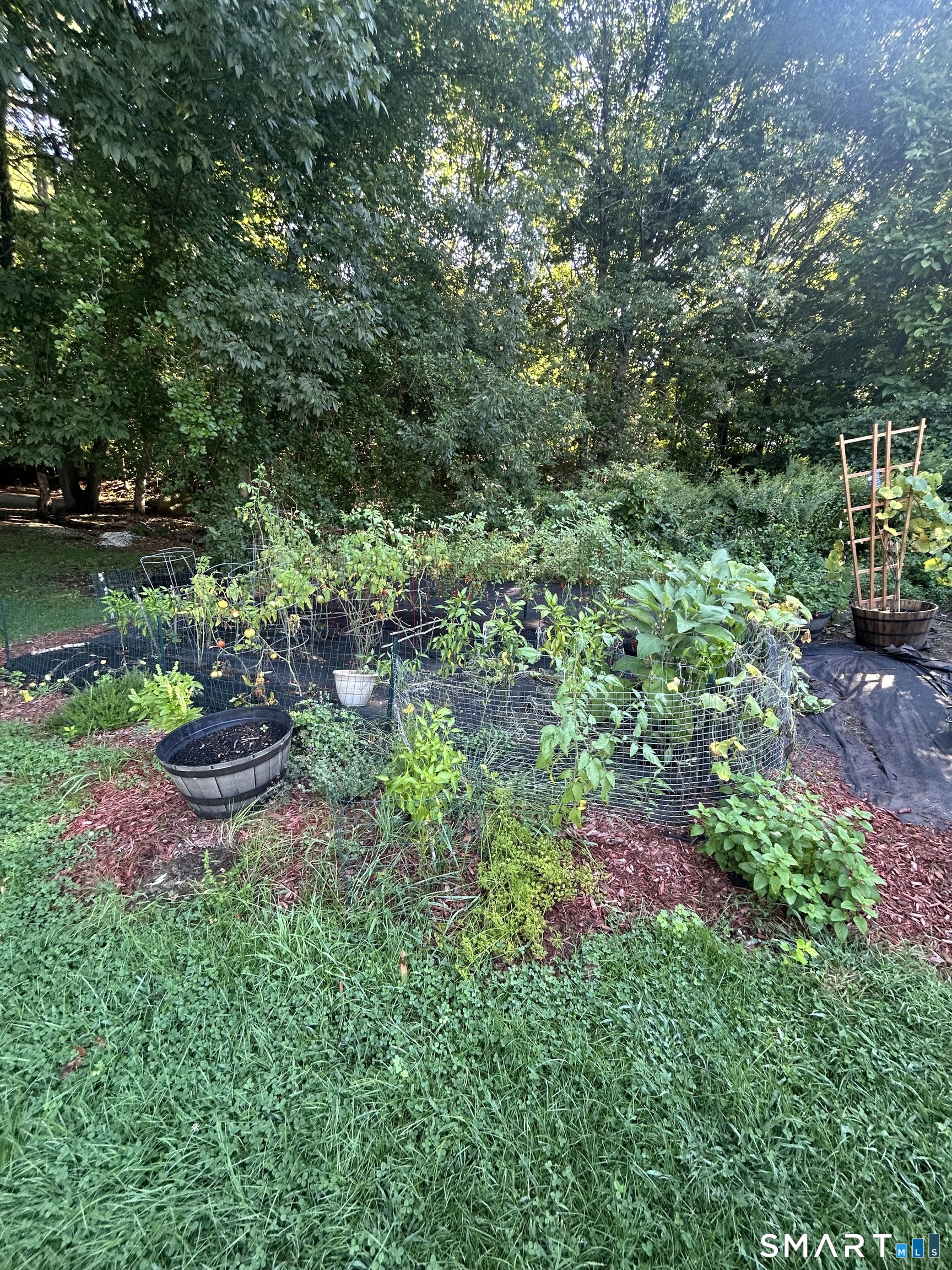 12 R And R Park Property Photo 13