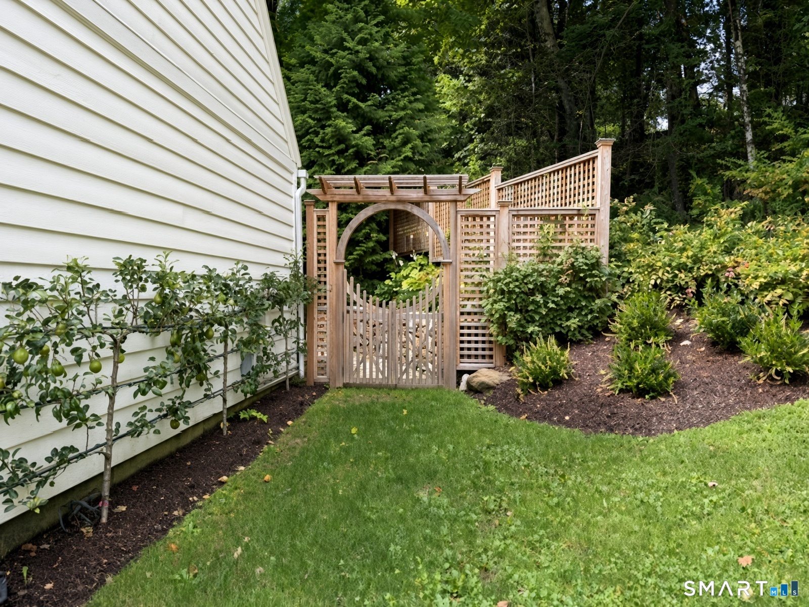 23 Cook Street Property Photo 33