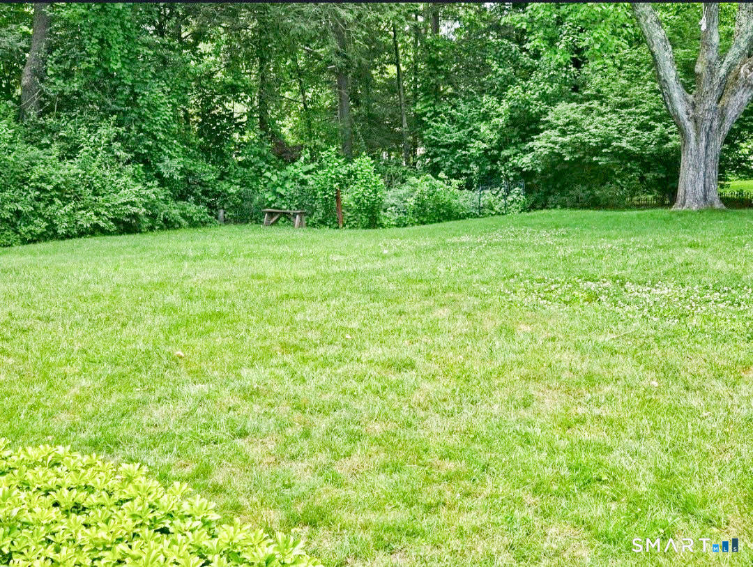 20 Condon Street Property Photo 23