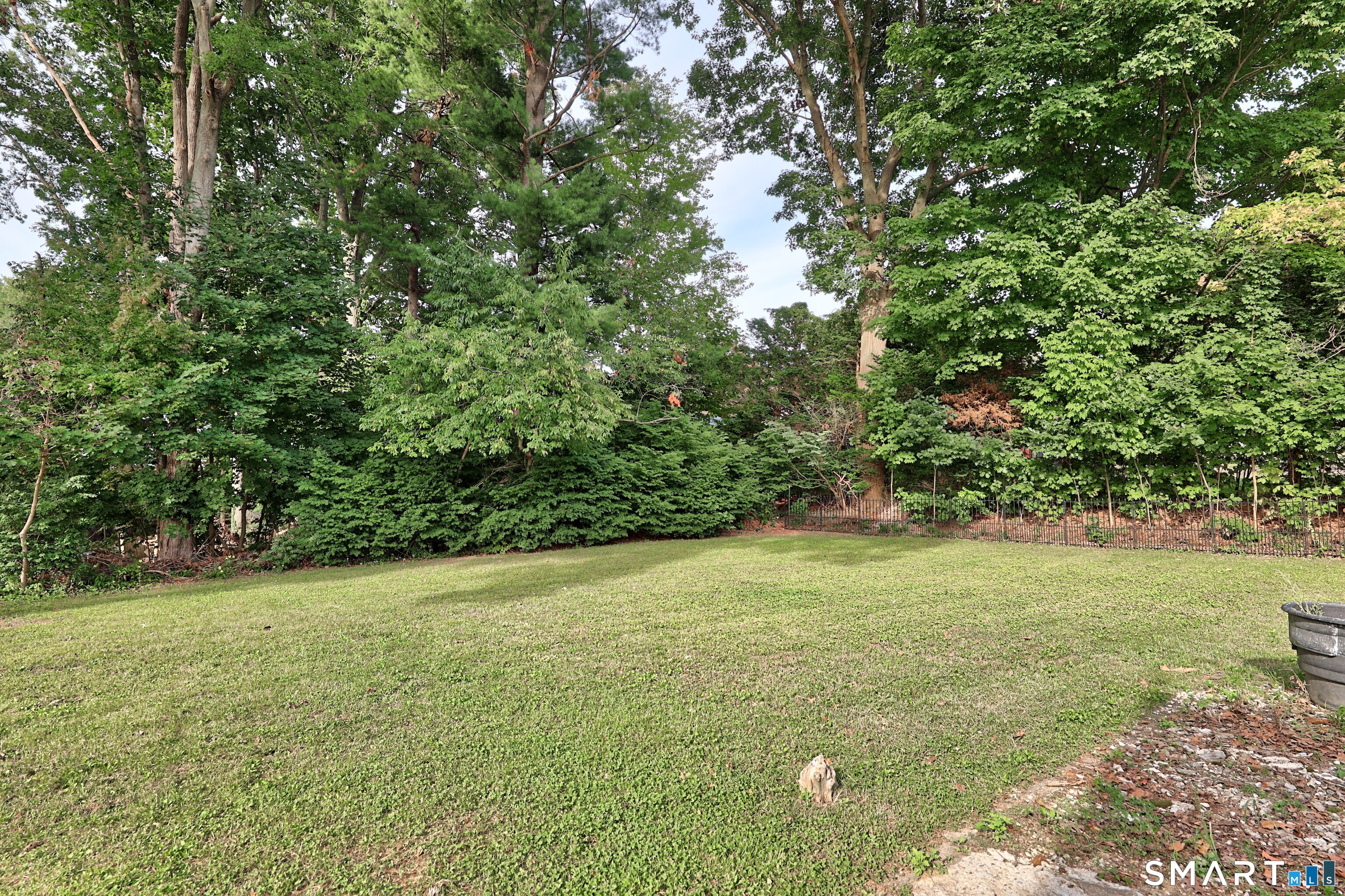 155 Frederick Street Property Photo 34