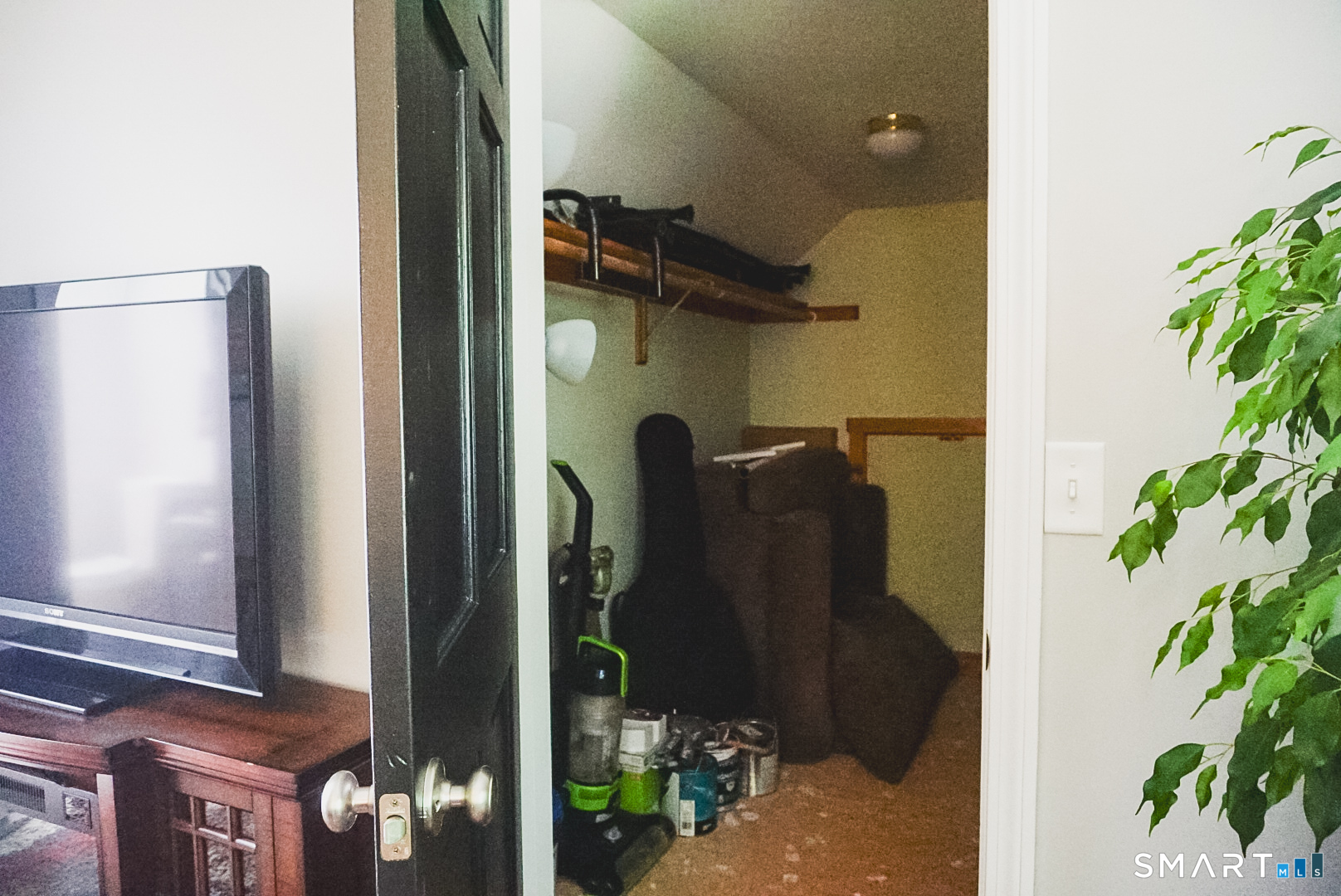 46 Clarence Court Property Photo 20