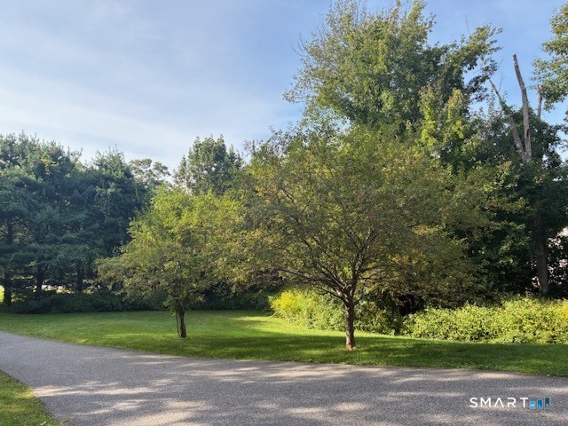 1382 Wolcott Road Property Photo 17