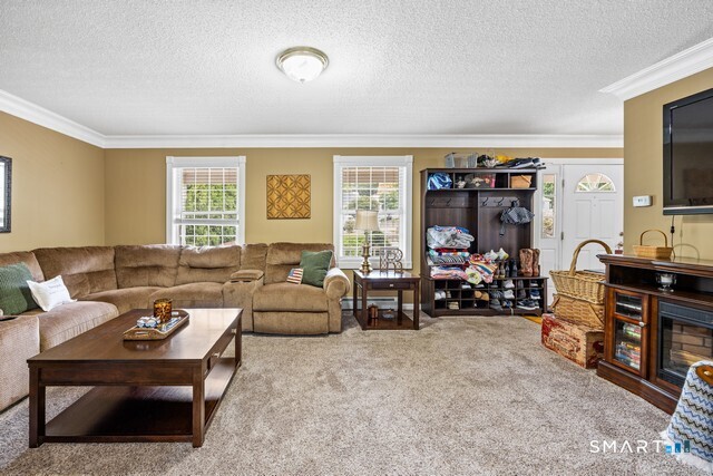 60 Olivia Lane Property Photo 14