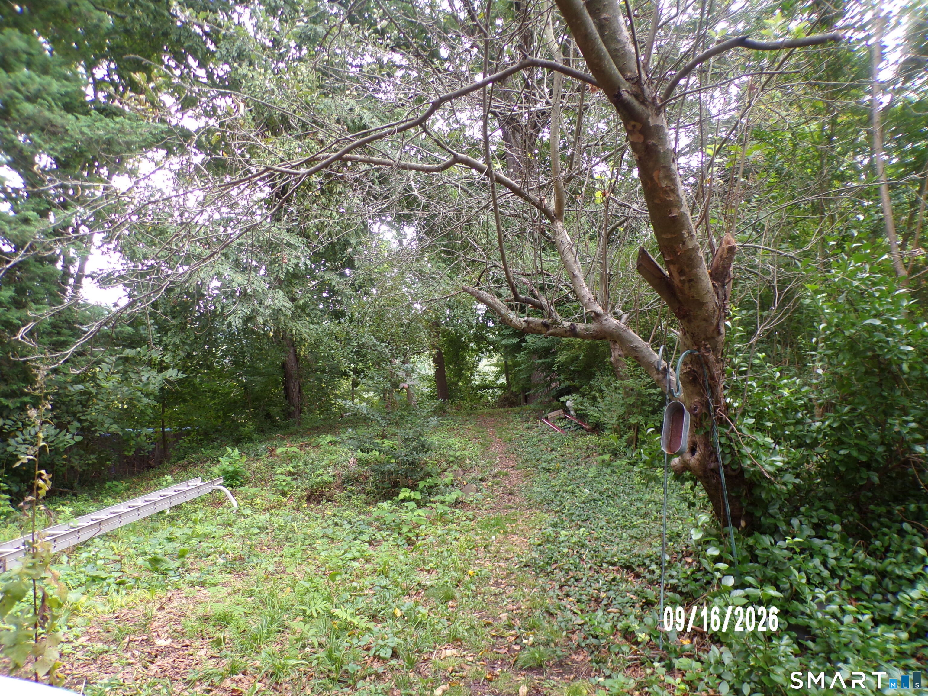 11 William Street Property Photo 39