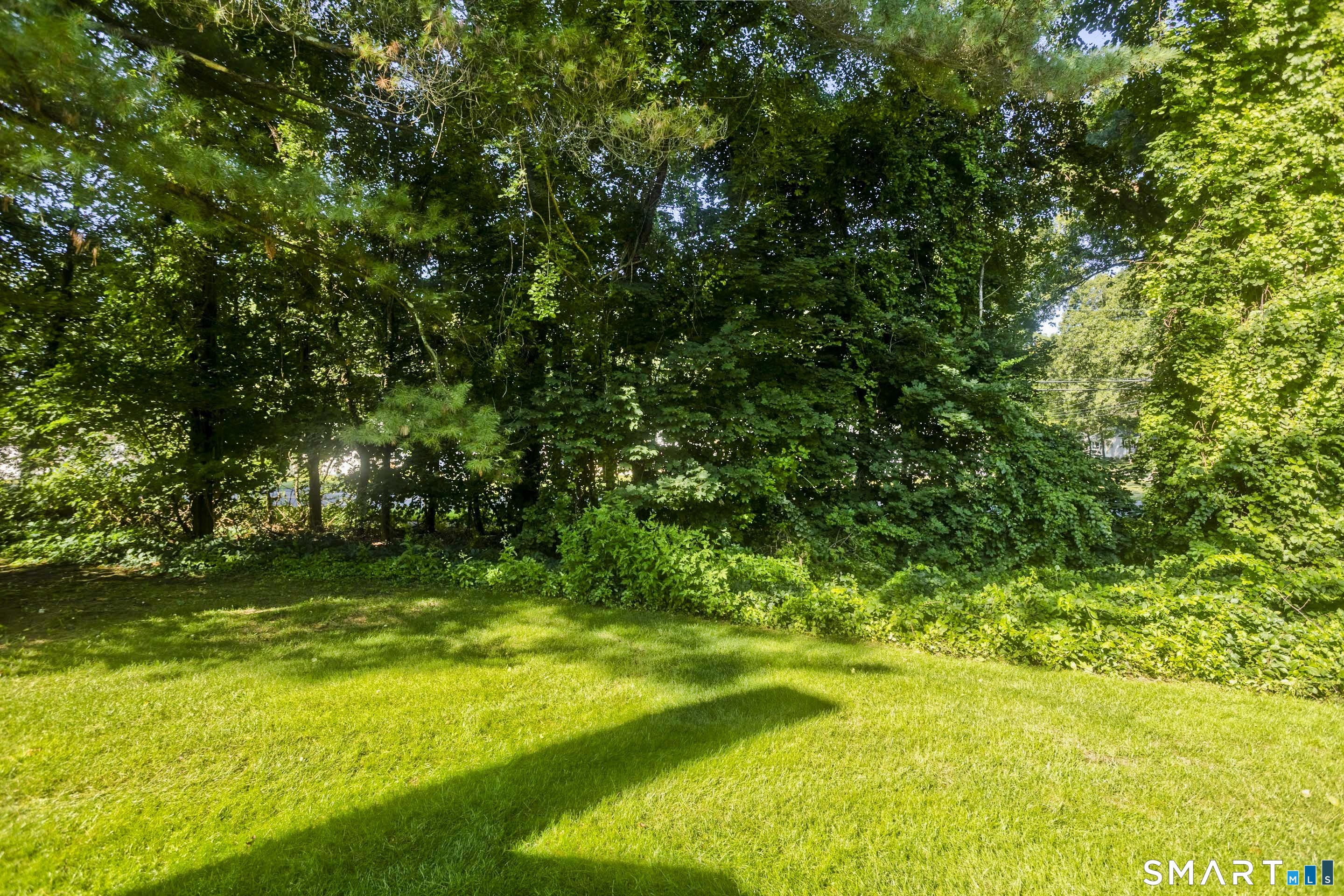 465 The 465 Meadows Property Photo 33