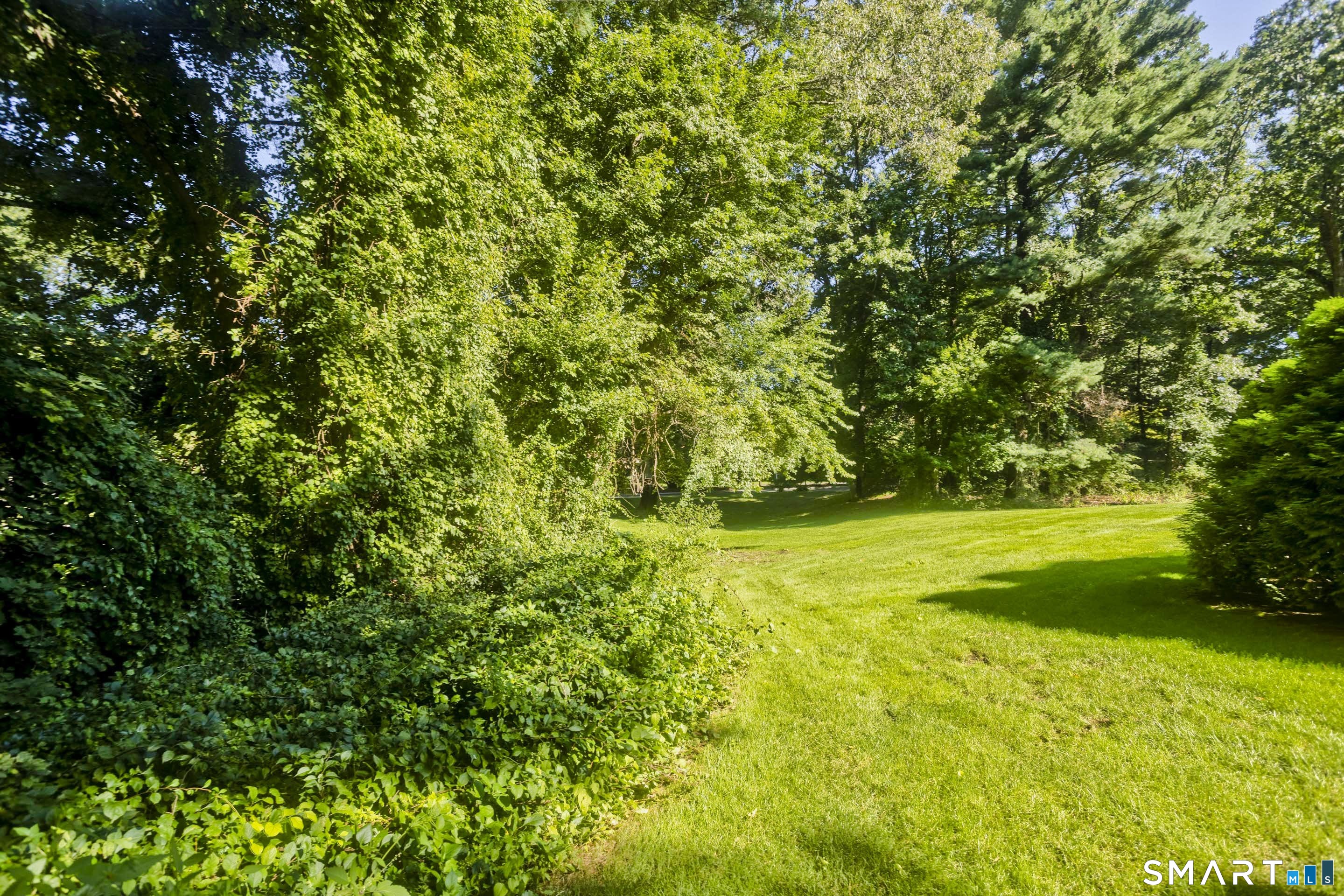 465 The 465 Meadows Property Photo 34