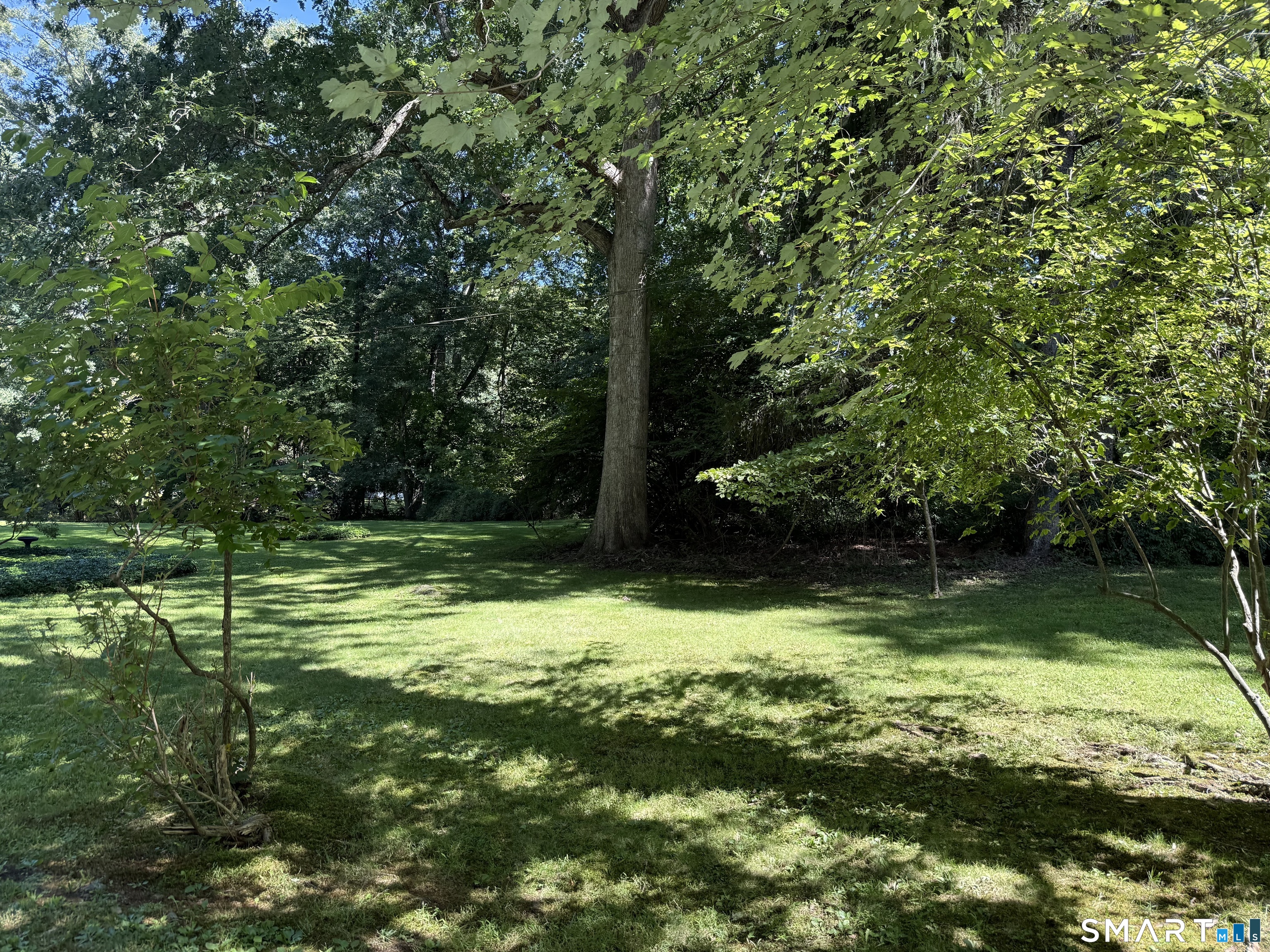 981 Rock Rimmon Road Property Photo 13