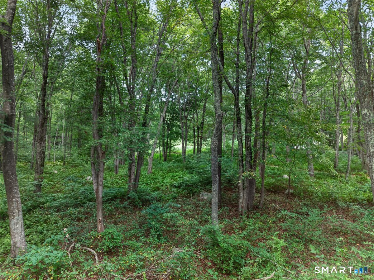 174 Montauk Avenue Property Photo 18