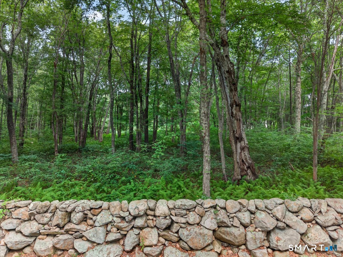 174 Montauk Avenue Property Photo 24
