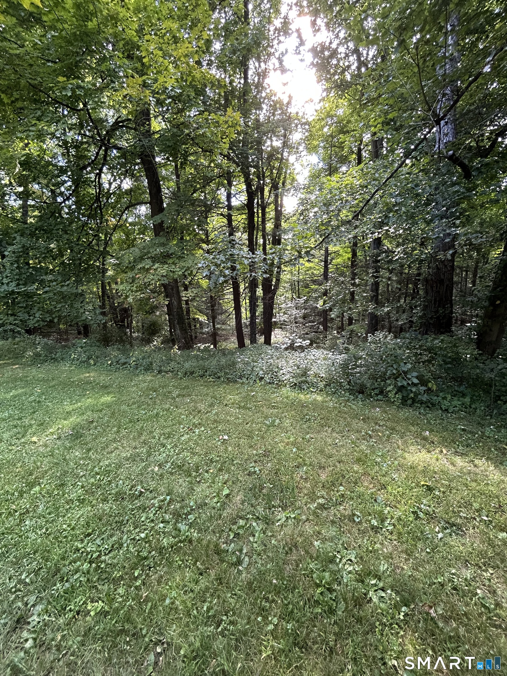 133 Mountain Road Property Photo 29