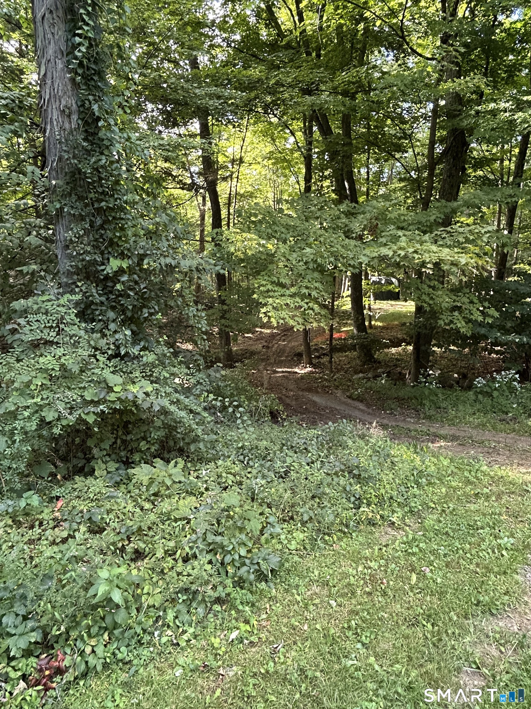 133 Mountain Road Property Photo 30