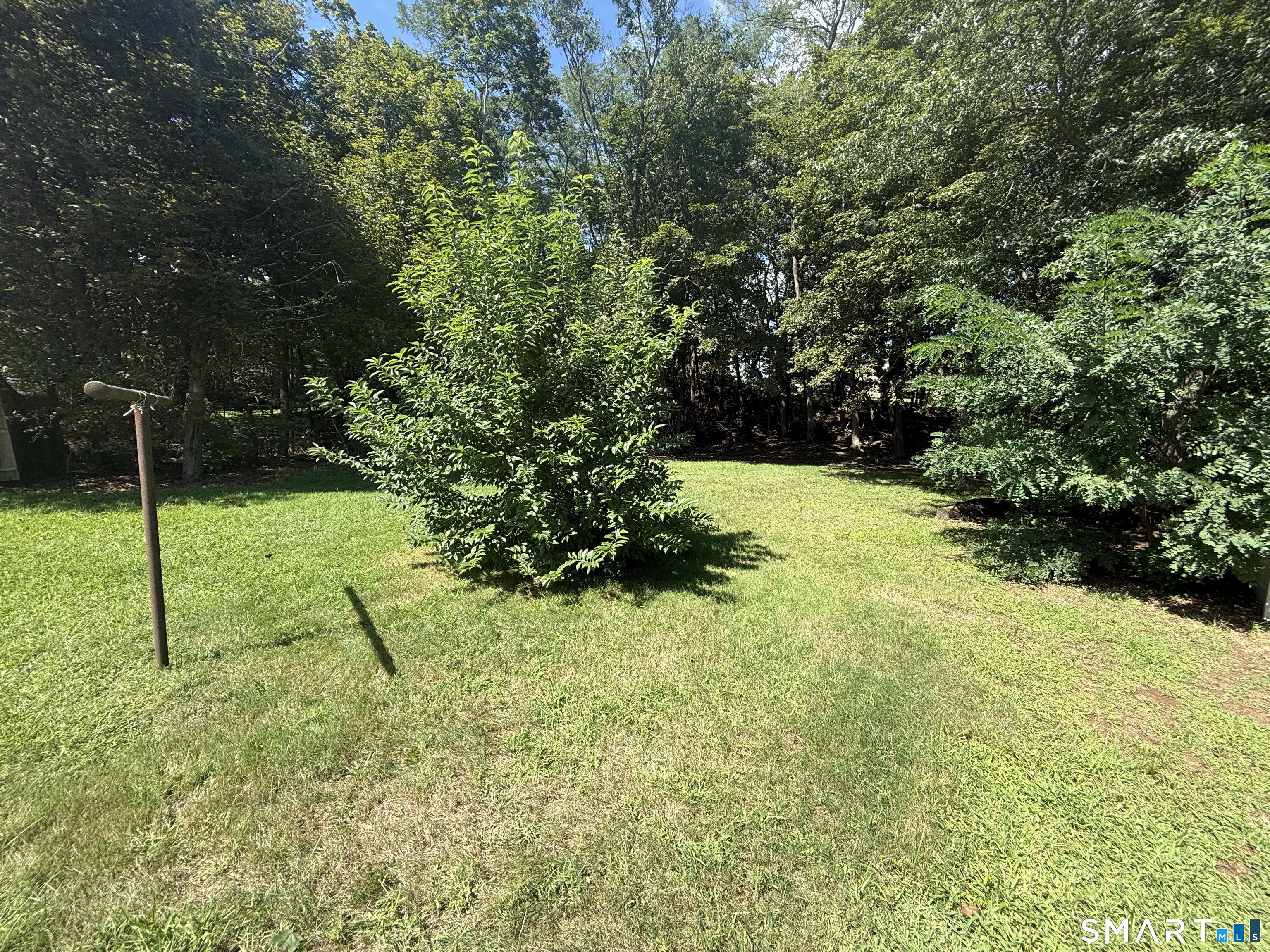 42 Walter Street Property Photo 1