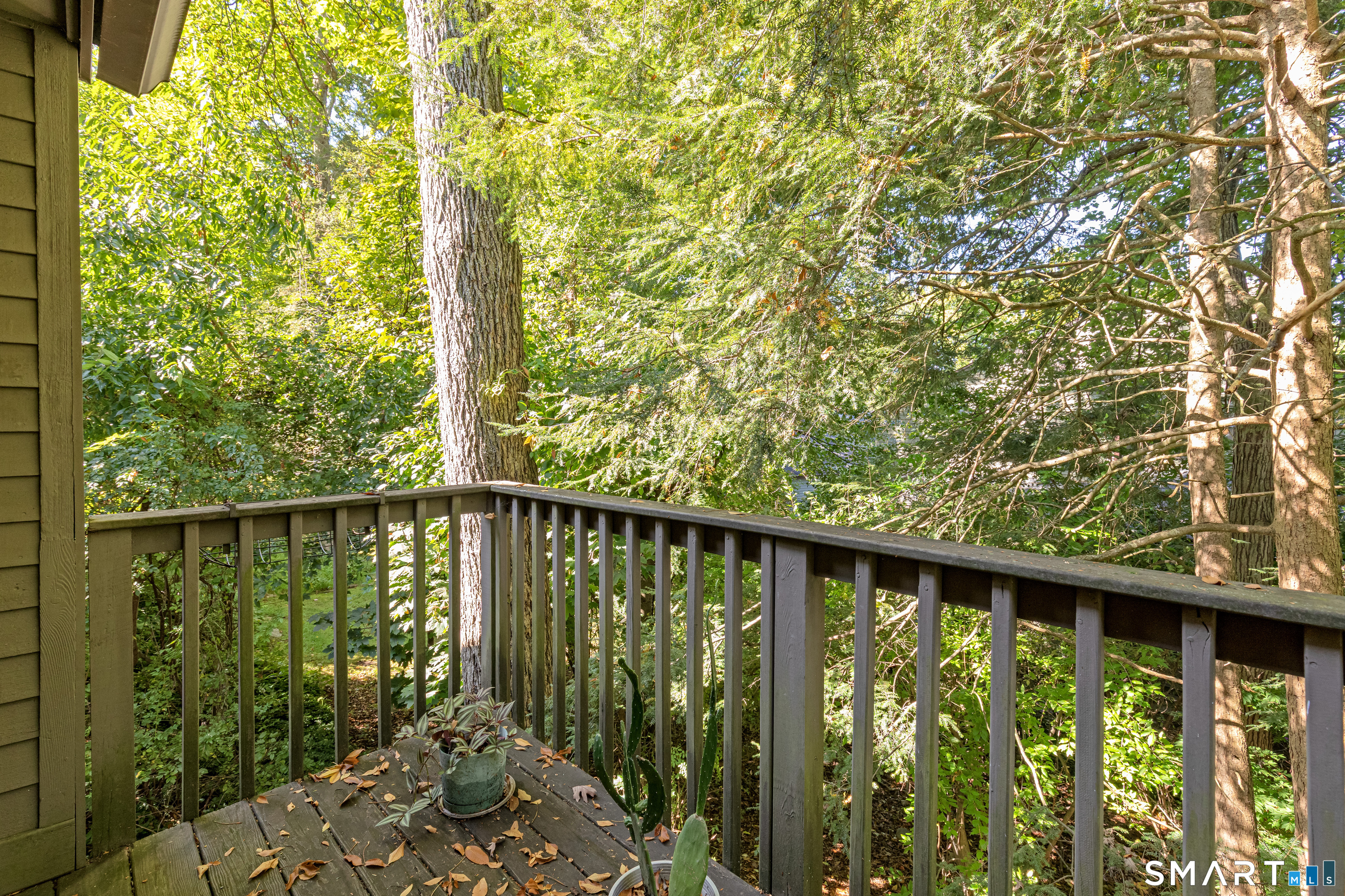 5 Alder 84a Court Property Photo 26
