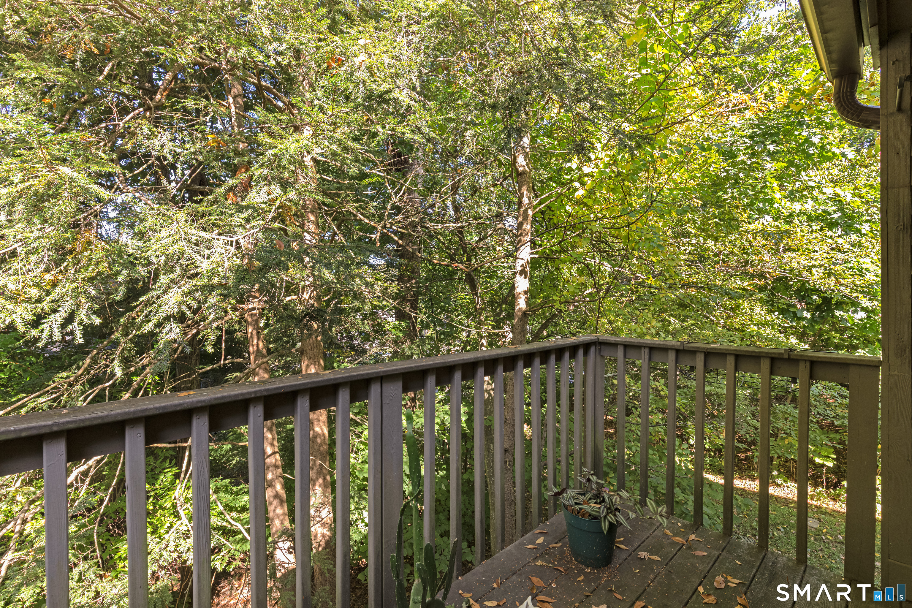 5 Alder 84a Court Property Photo 27