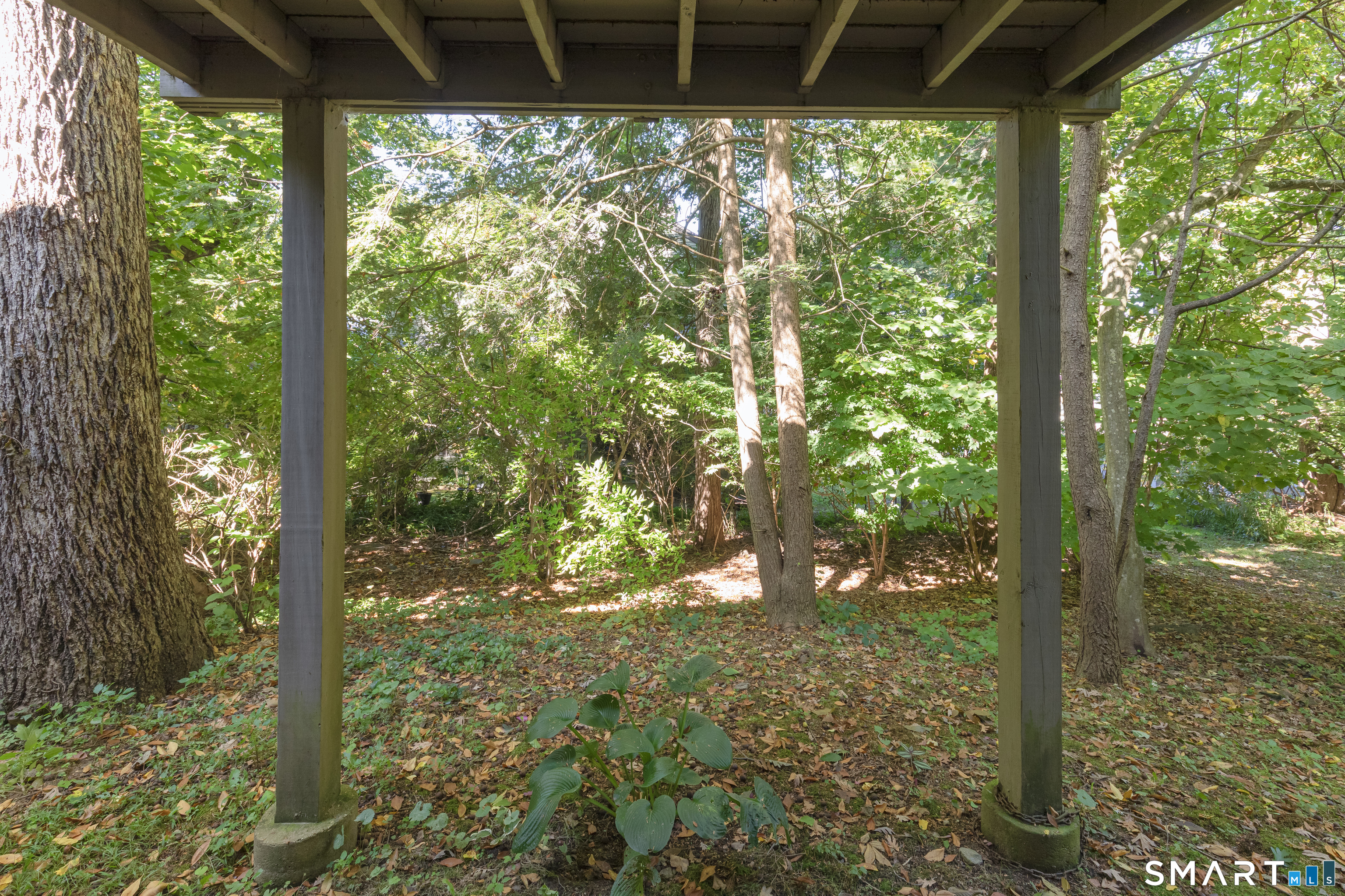 5 Alder 84a Court Property Photo 28