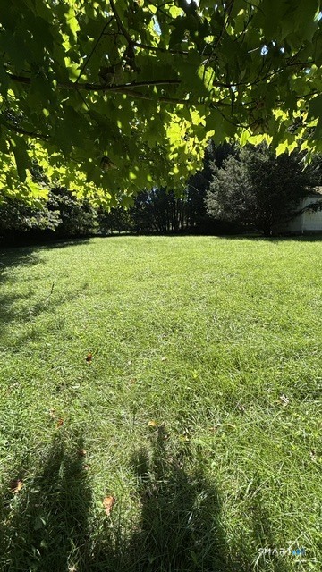 24205897 Property Photo 6