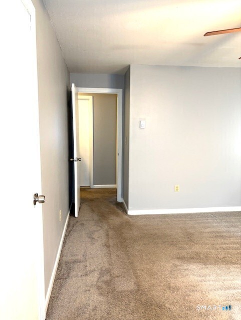 19 Goodwin Street Property Photo 13