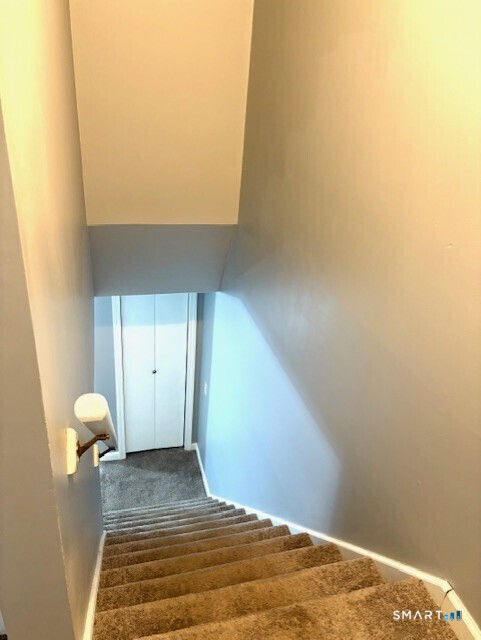 19 Goodwin Street Property Photo 16