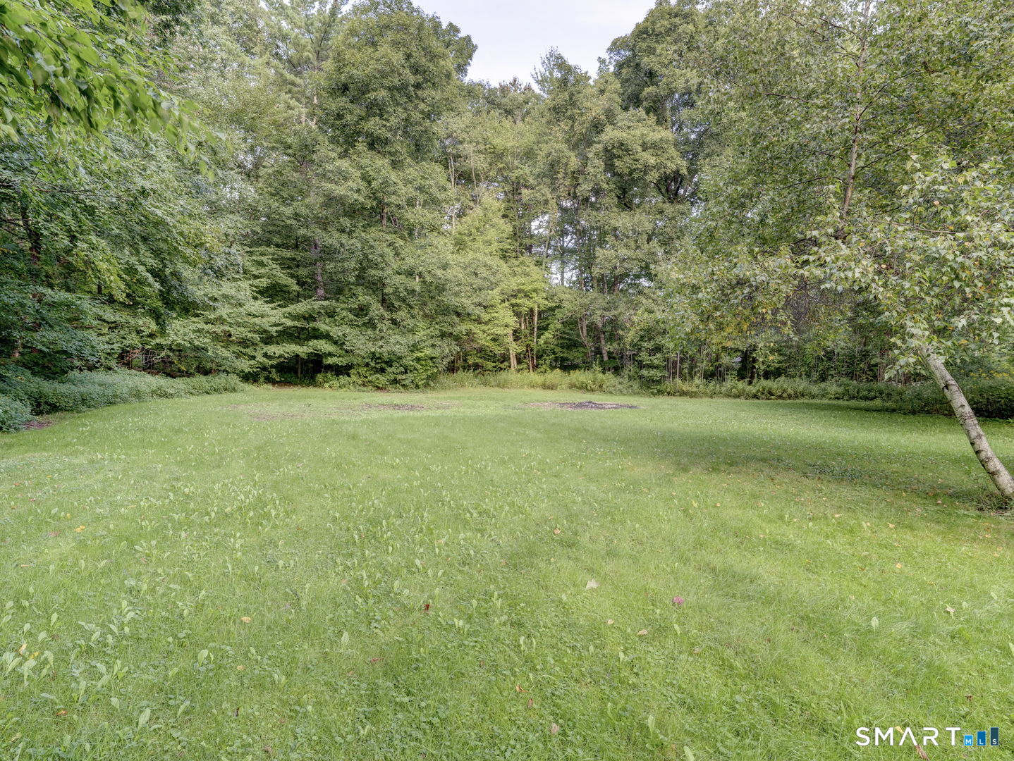 215 Campville Road Property Photo 6