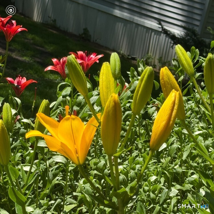 17 Evergreen Park Property Photo 25