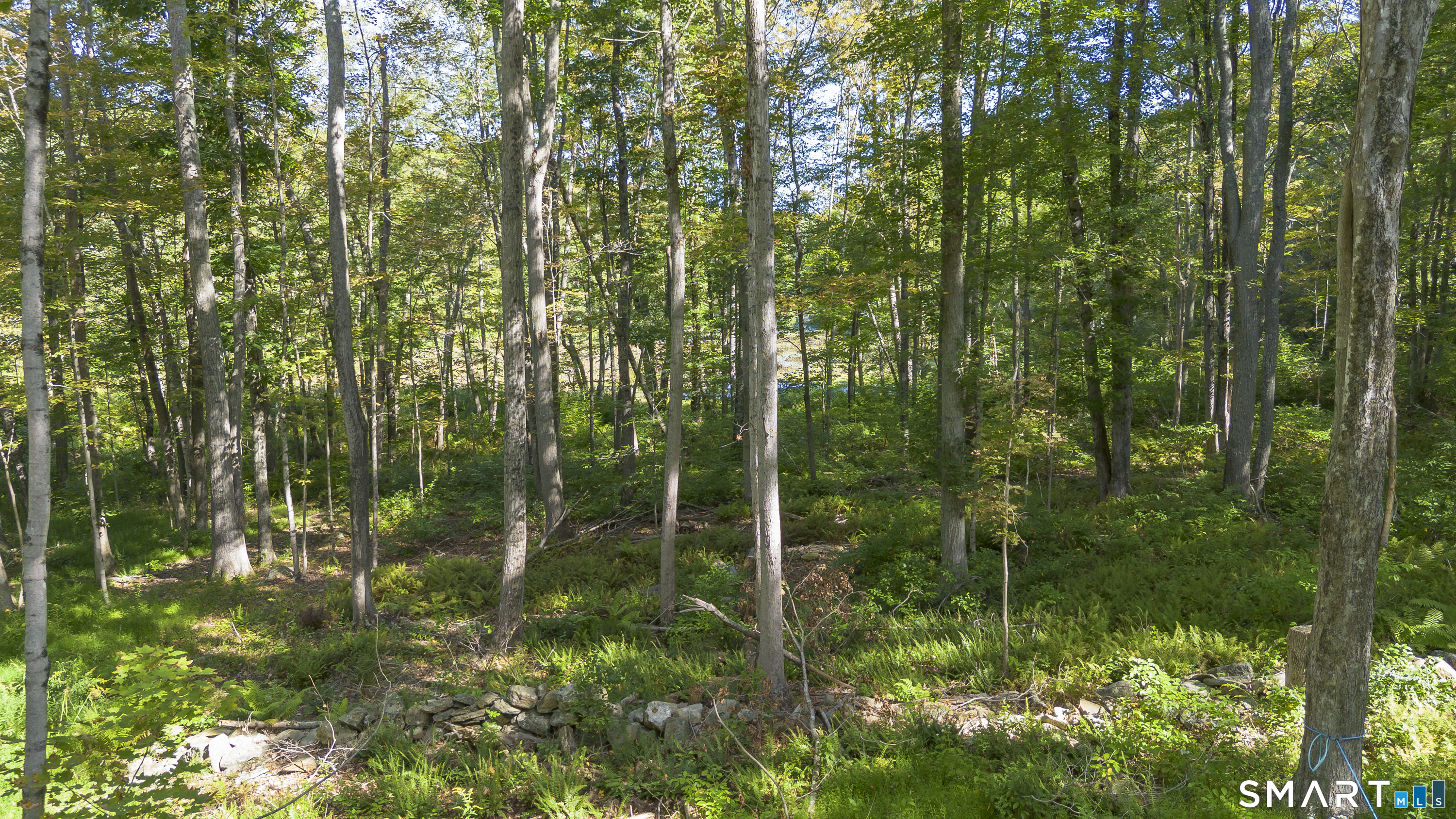 853 Scotland Road Property Photo 15
