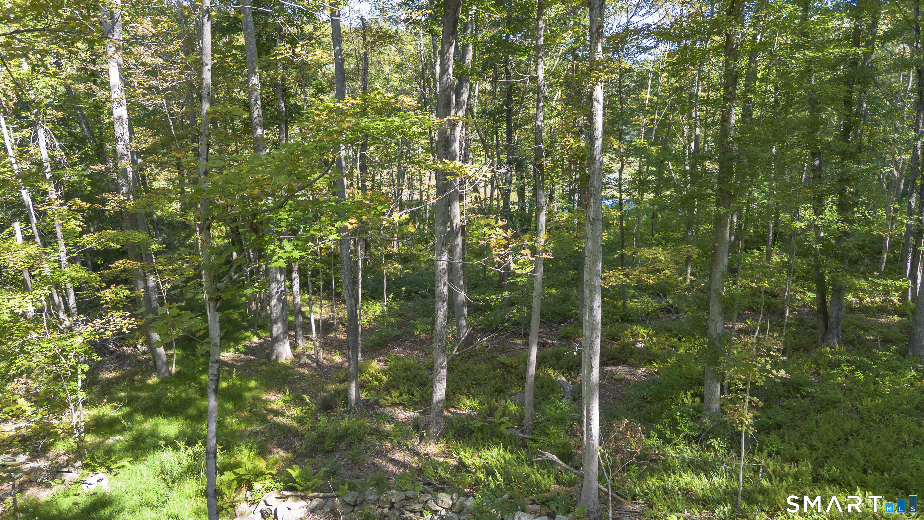853 Scotland Road Property Photo 16
