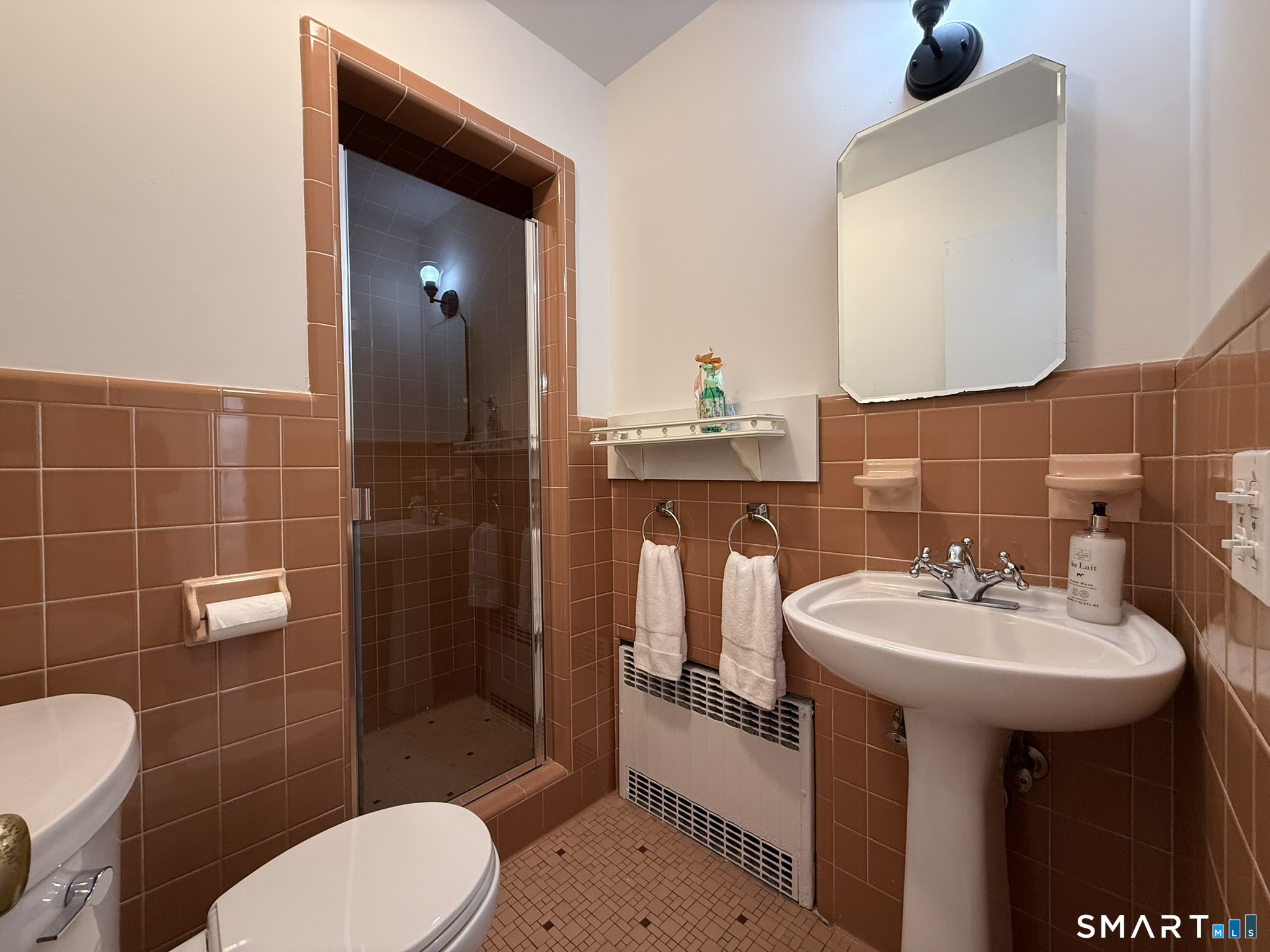 265 Balmforth Street Property Photo 19