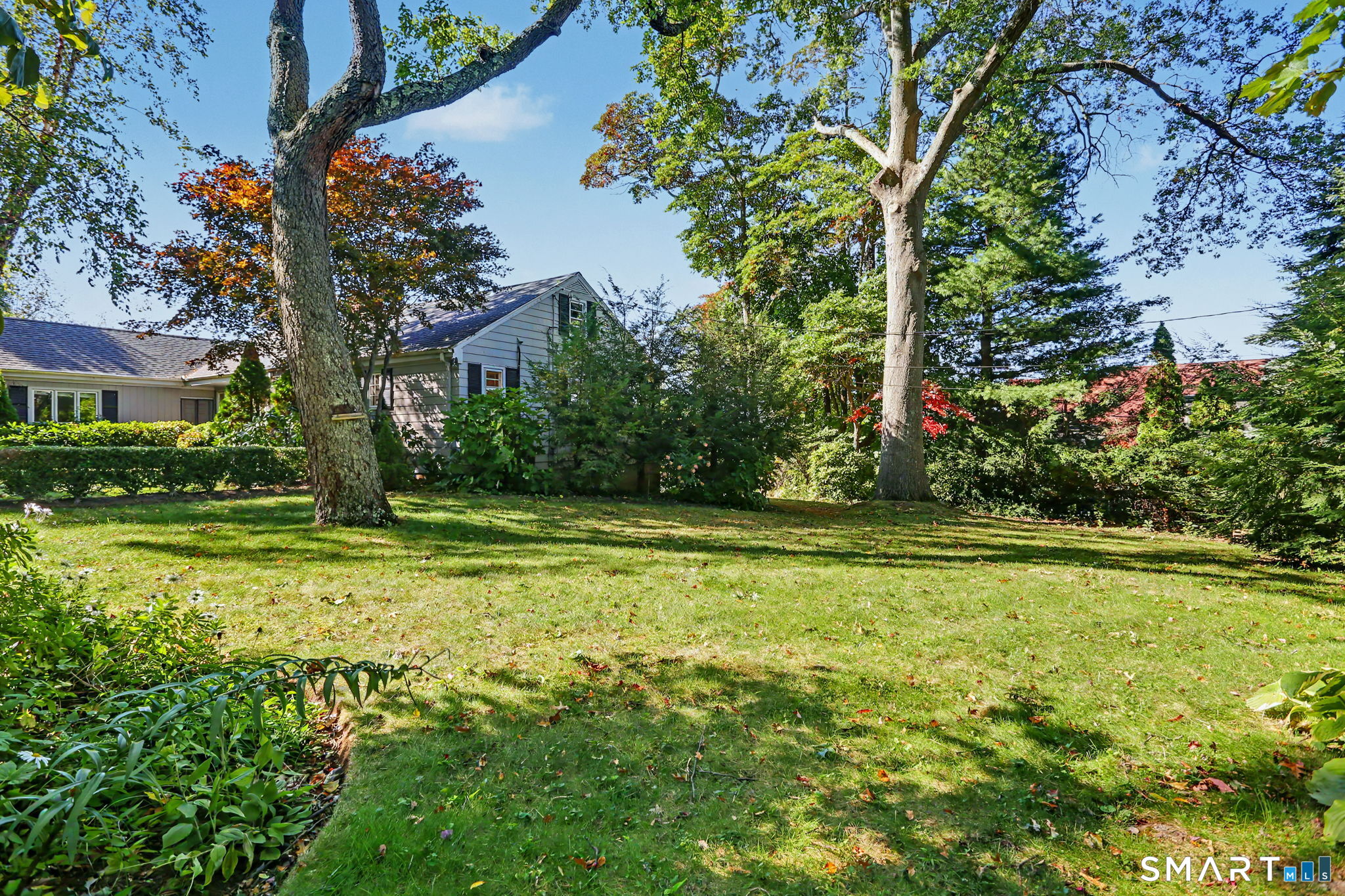 265 Balmforth Street Property Photo 33