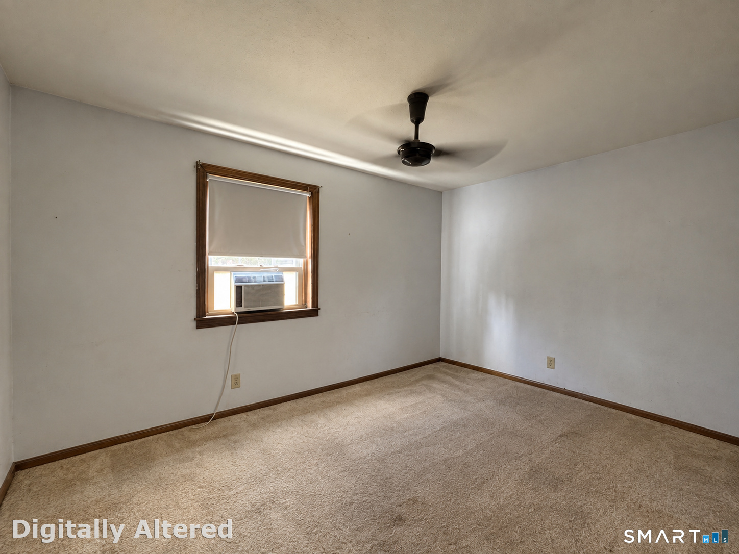 117 Thorpe Avenue Property Photo 9