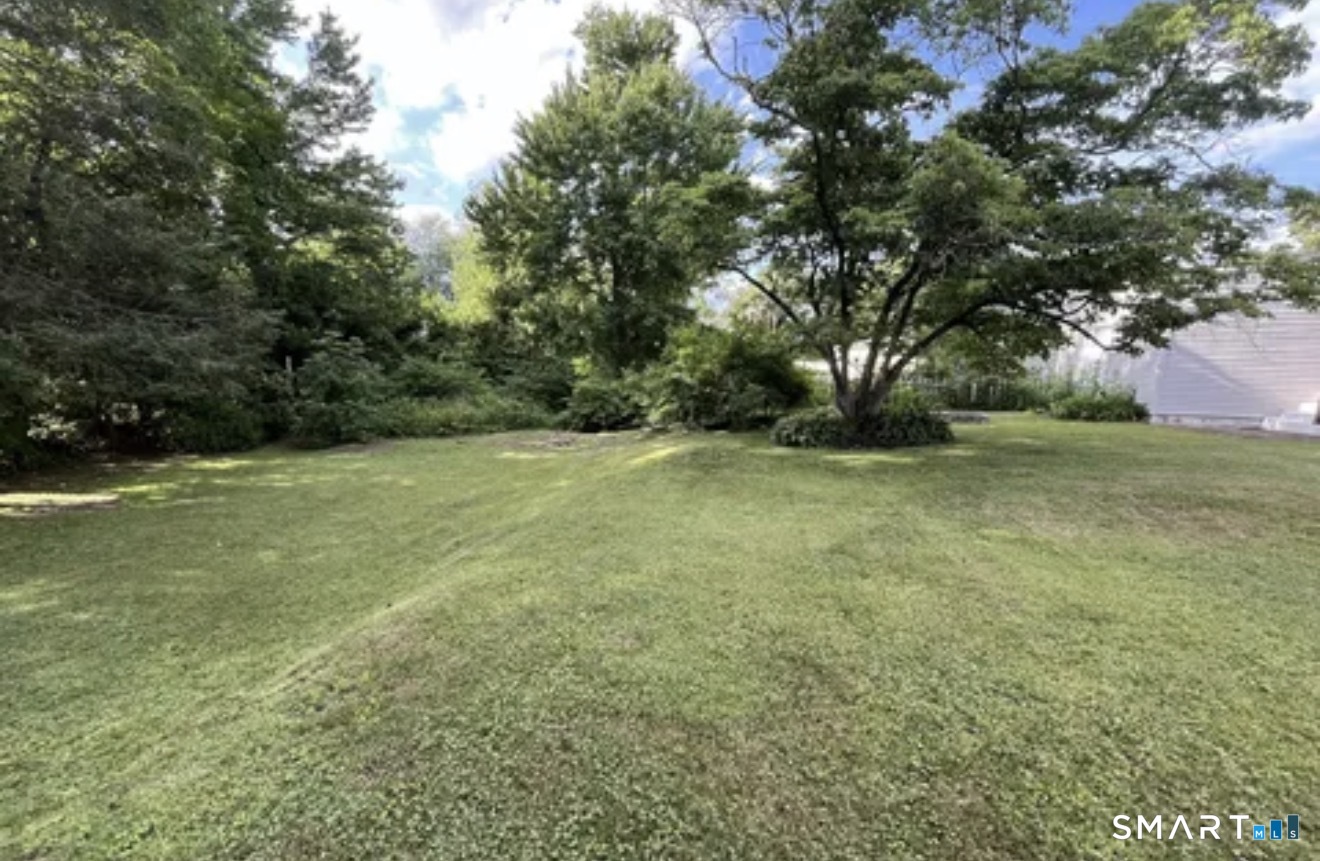 367 Frost Road Property Photo 4