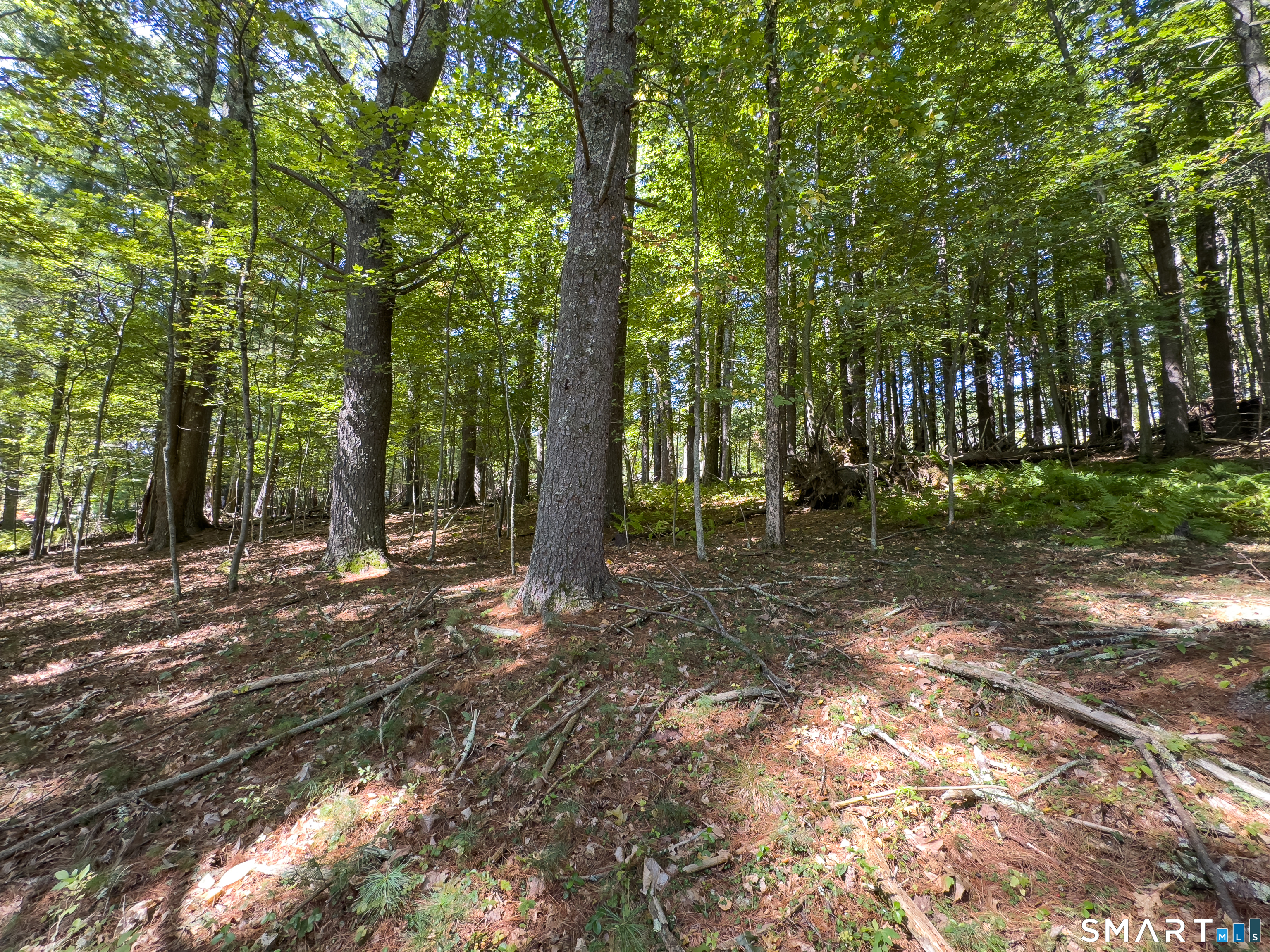 49 Stone Road Property Photo 5