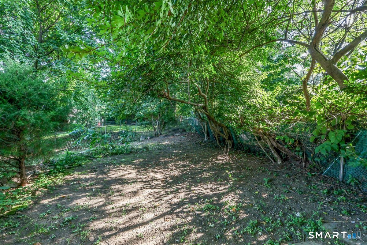 44 Palmer Street Property Photo 24